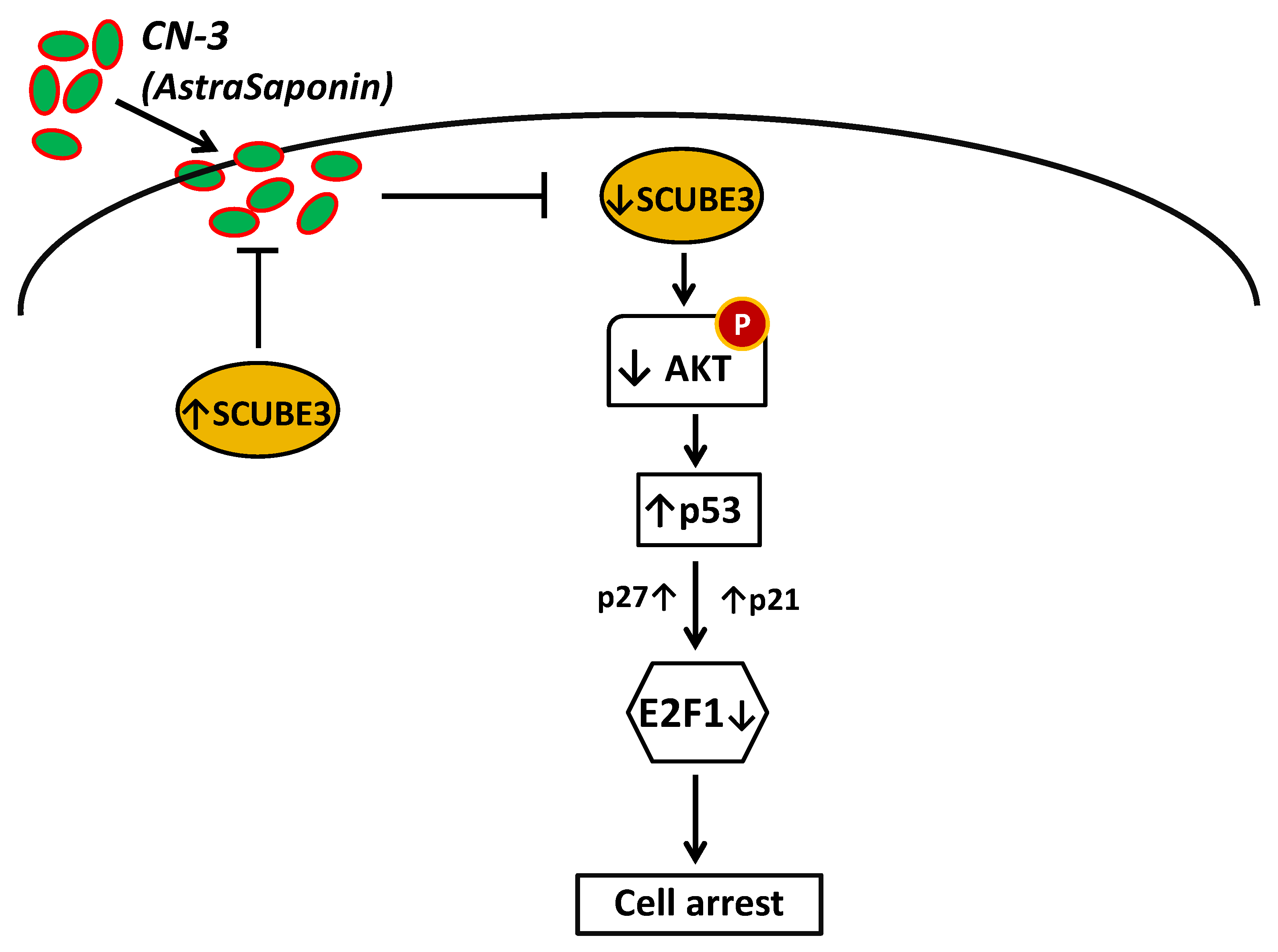 Therapeutics 03 00005 g007