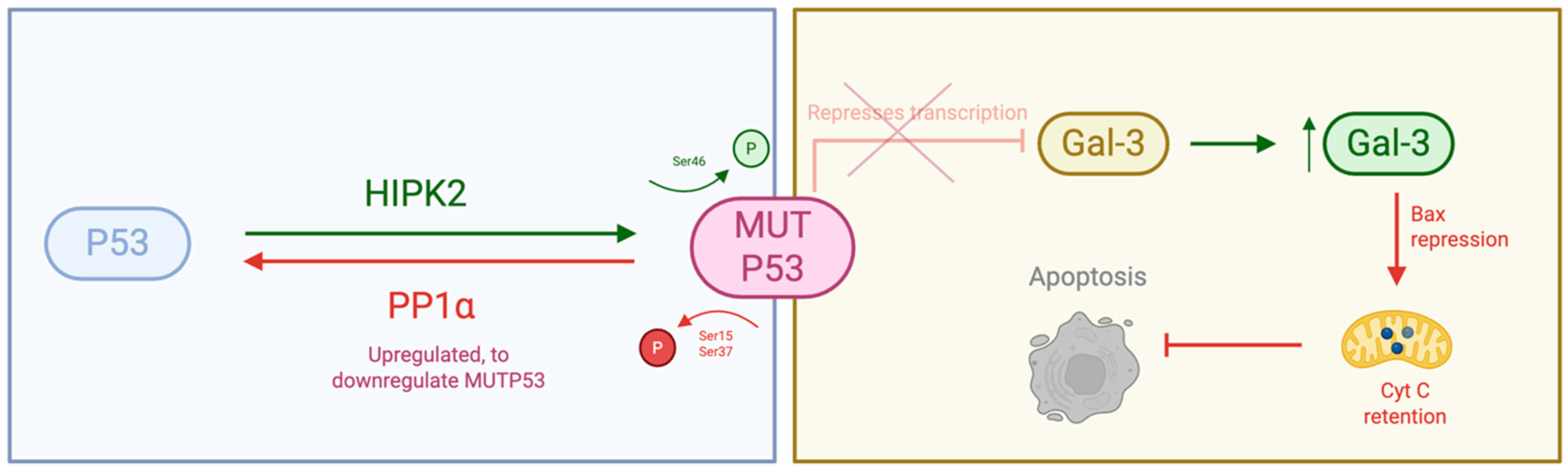 Therapeutics 03 00007 g007