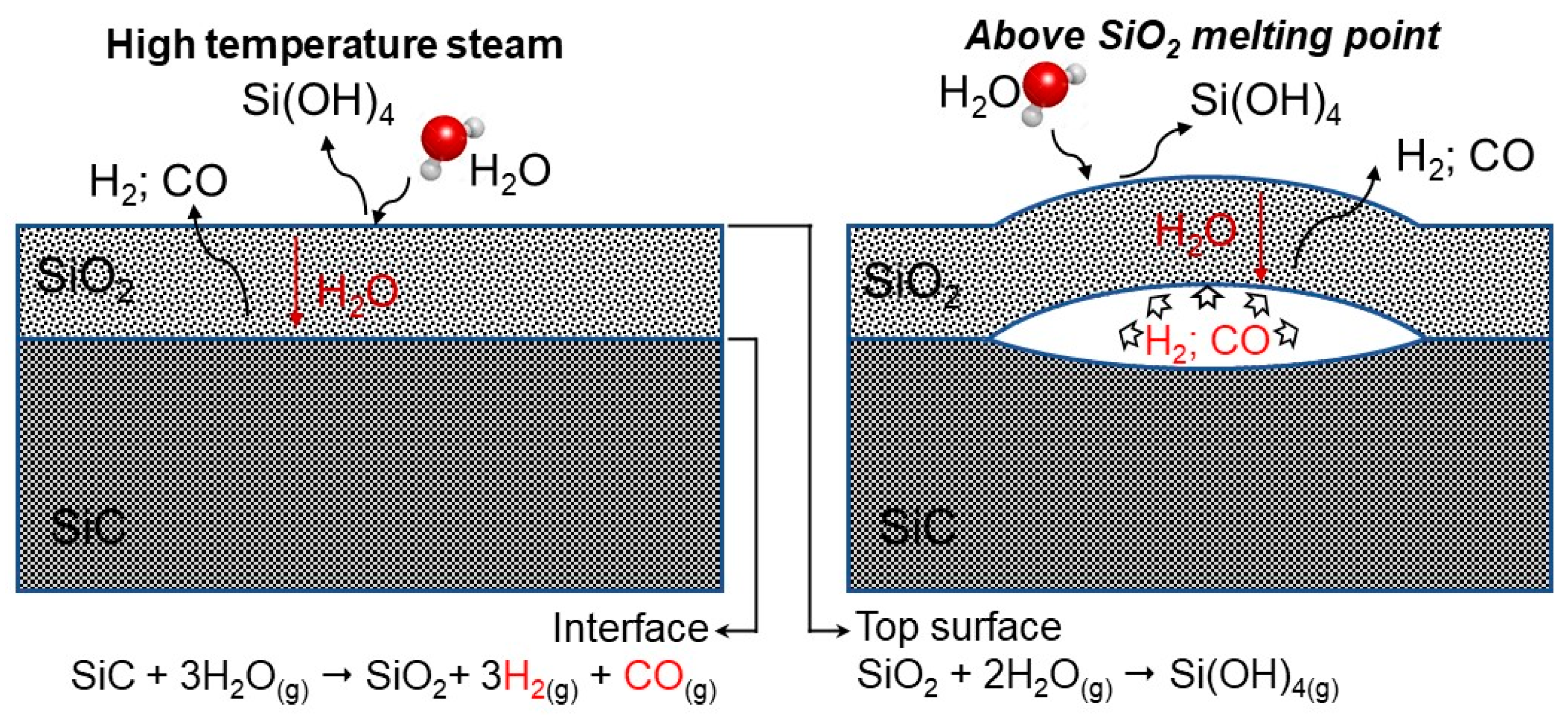 Thermo 01 00011 g003