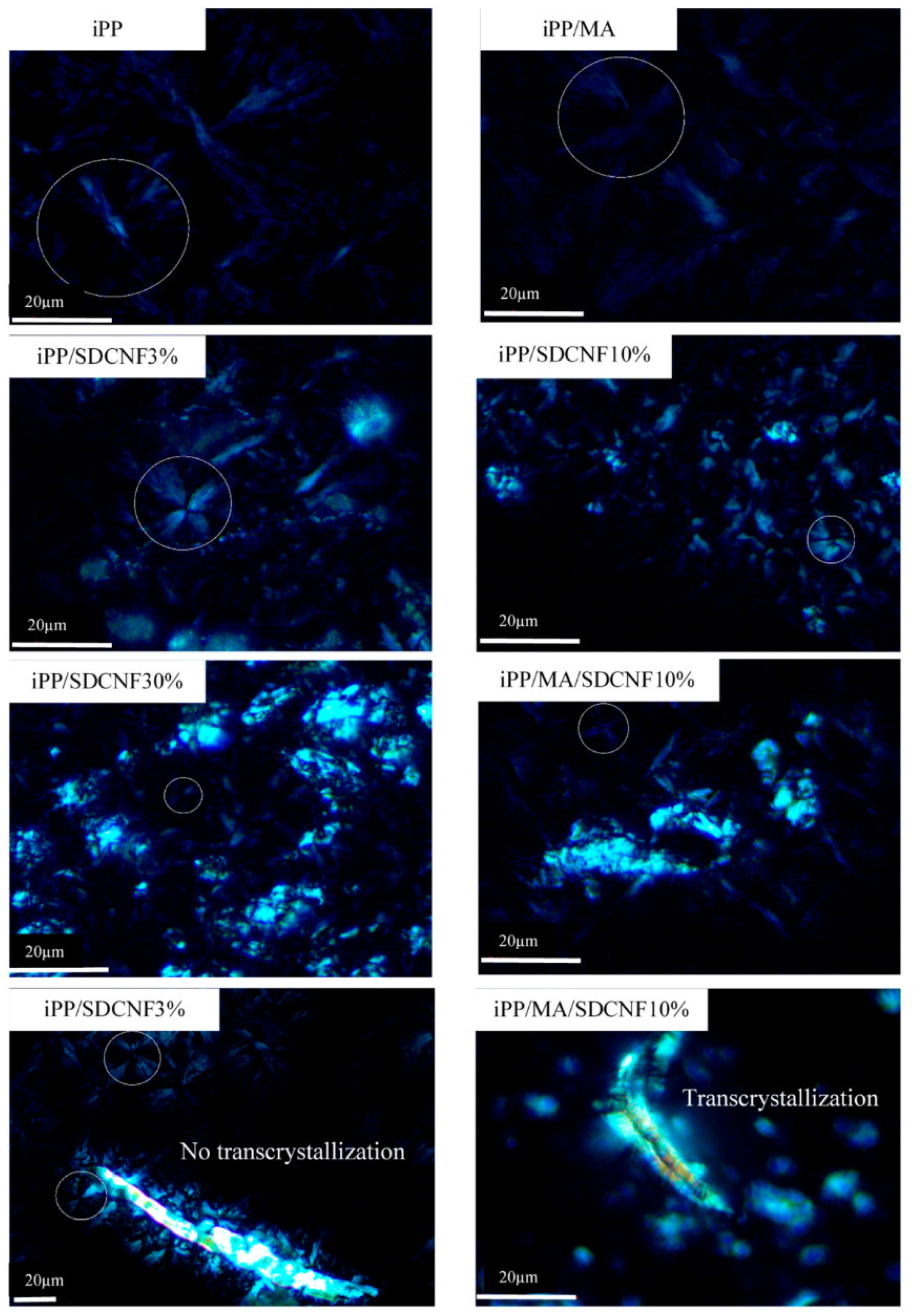 Thermo 02 00006 g005