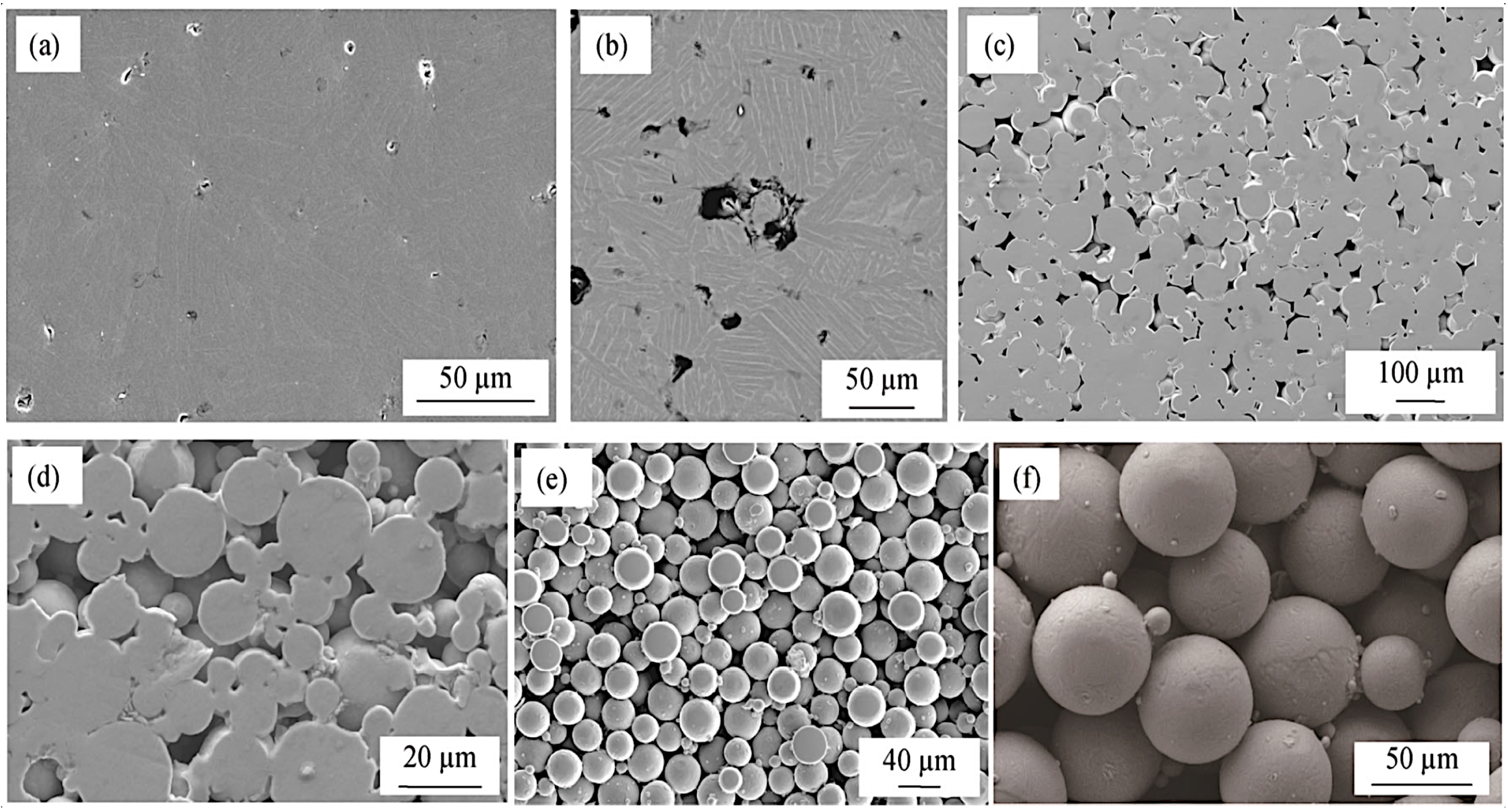 Thermo 02 00011 g004