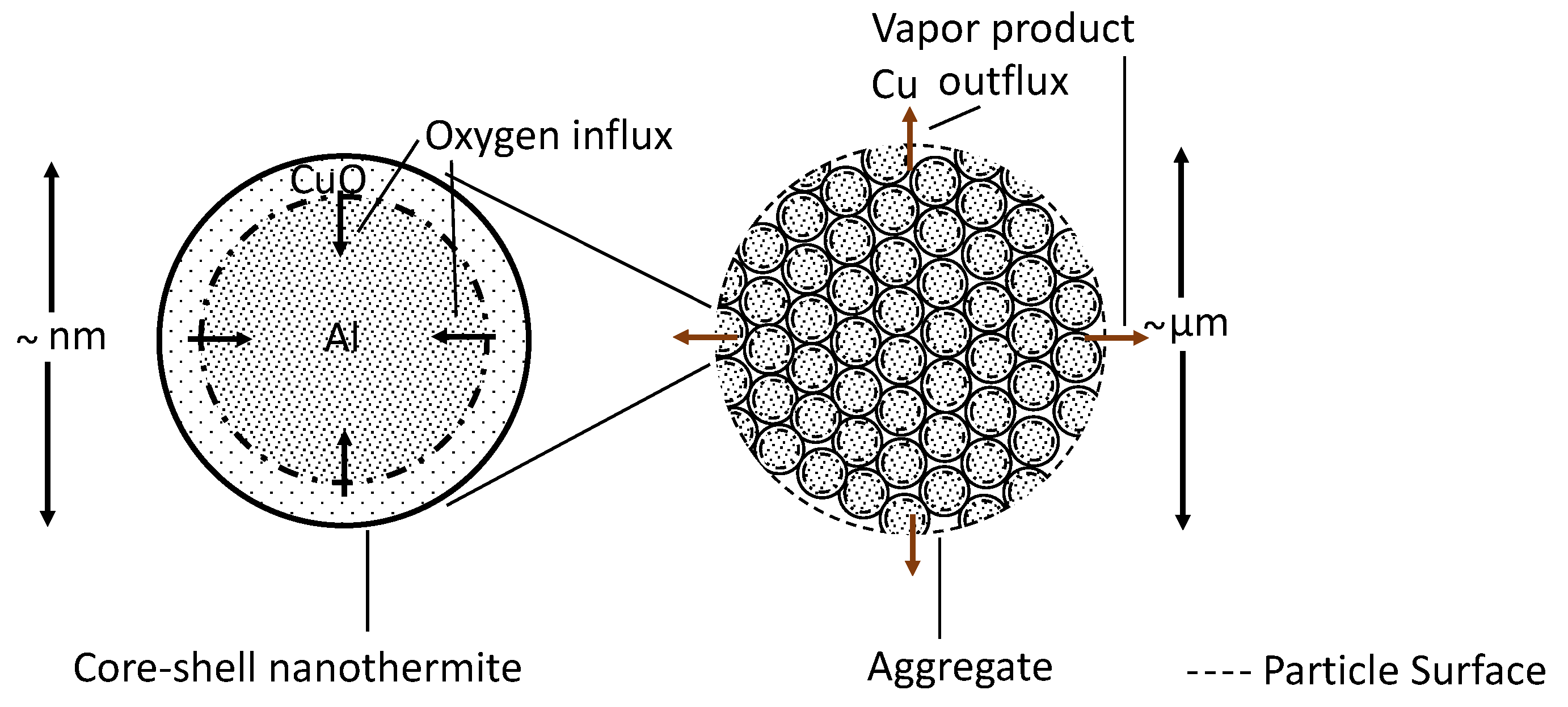 Thermo 02 00016 g001
