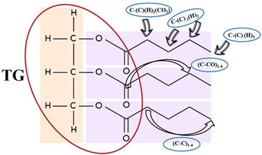 Thermo 02 00018 i001