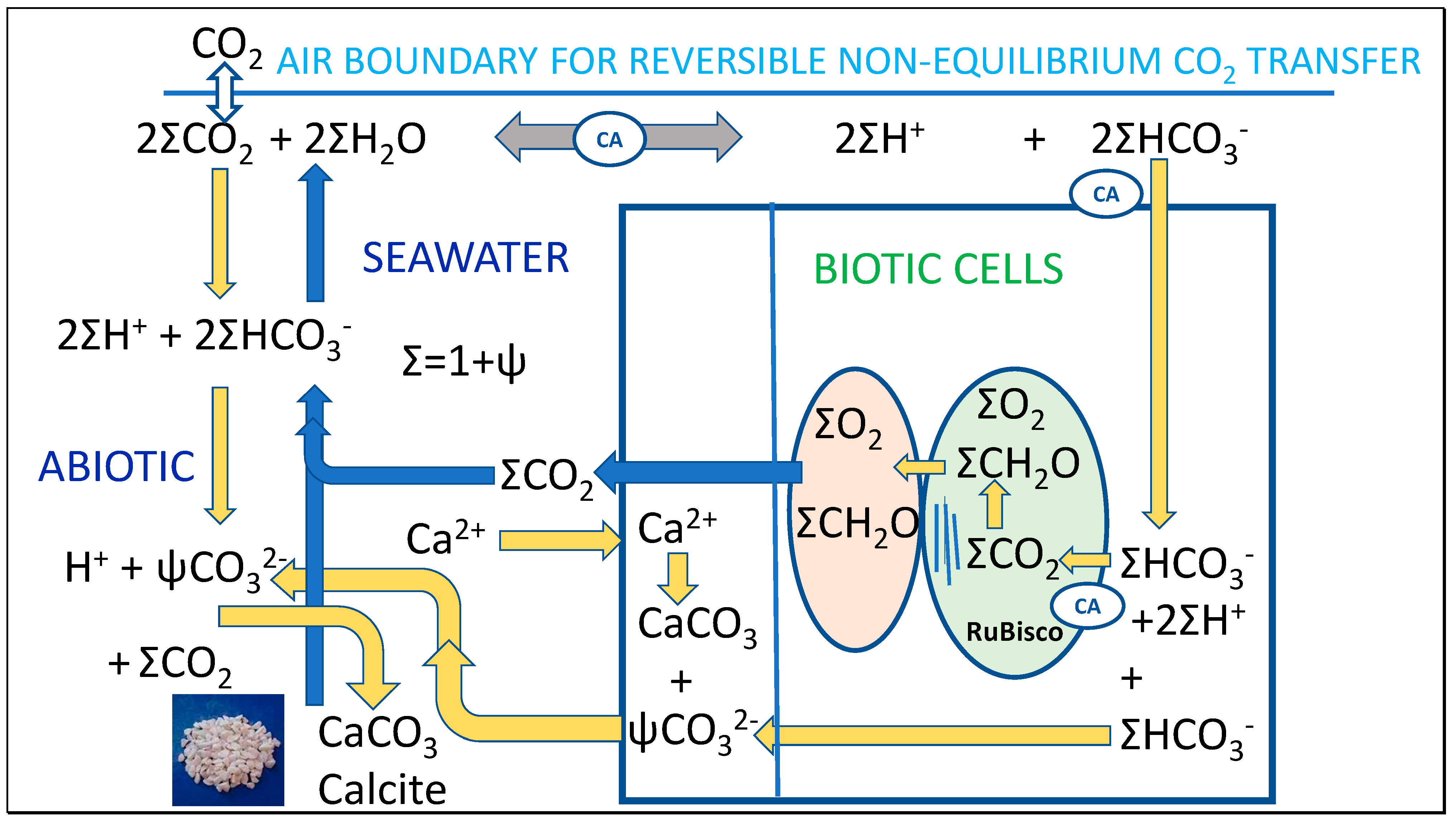 Thermo 02 00028 g009 Thermo 02 00028 g009