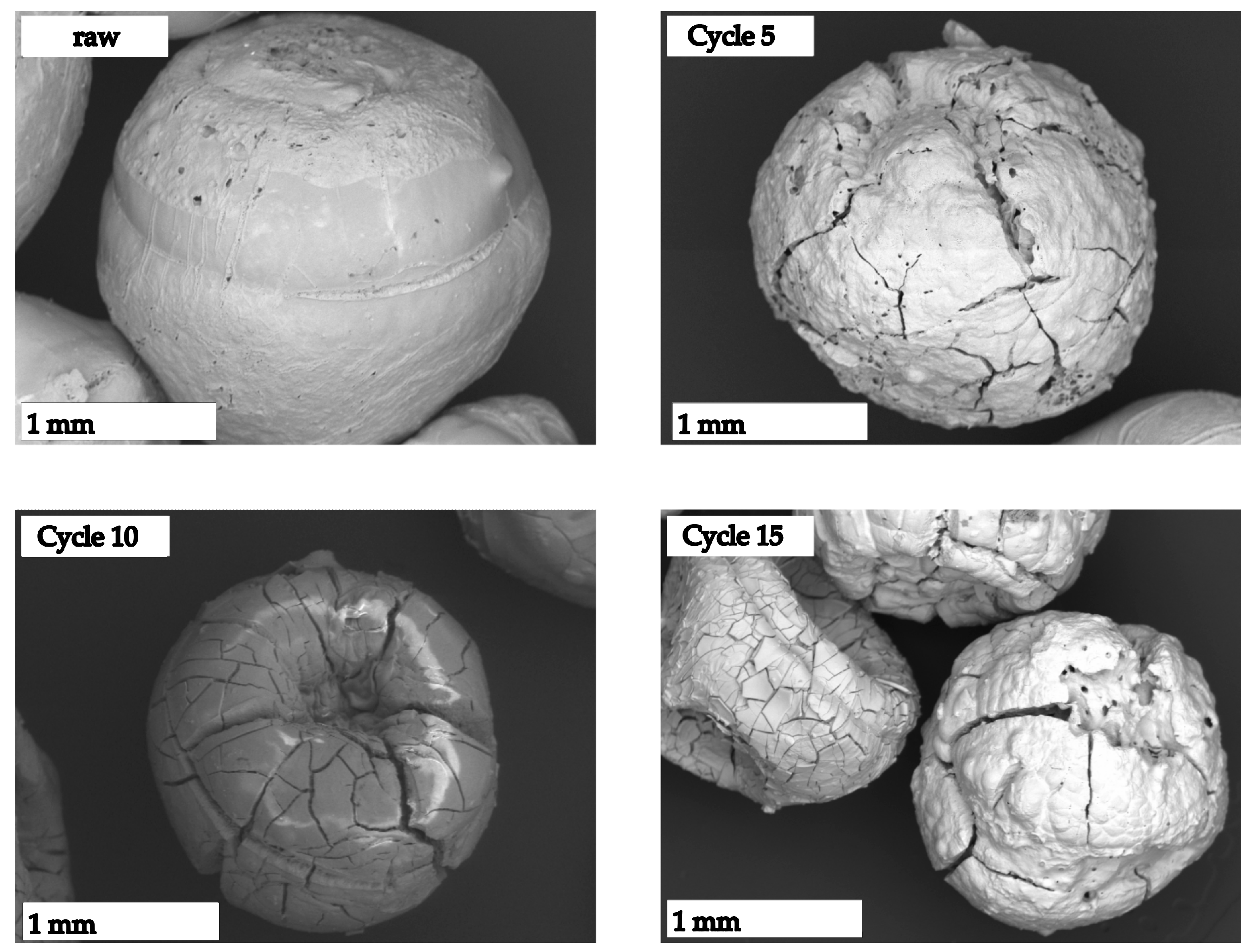 Thermo 03 00035 g005