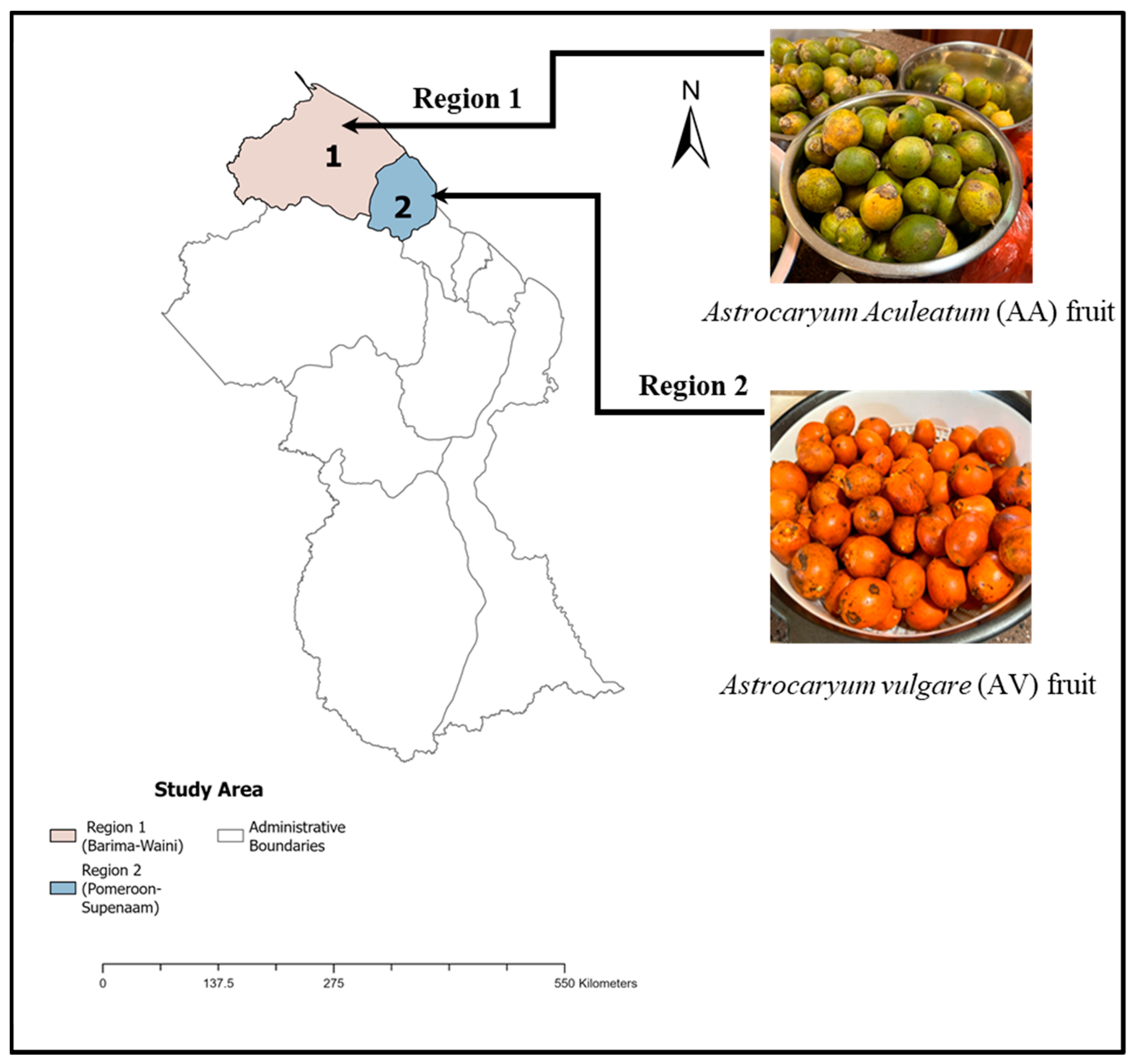 Thermo 04 00009 g001