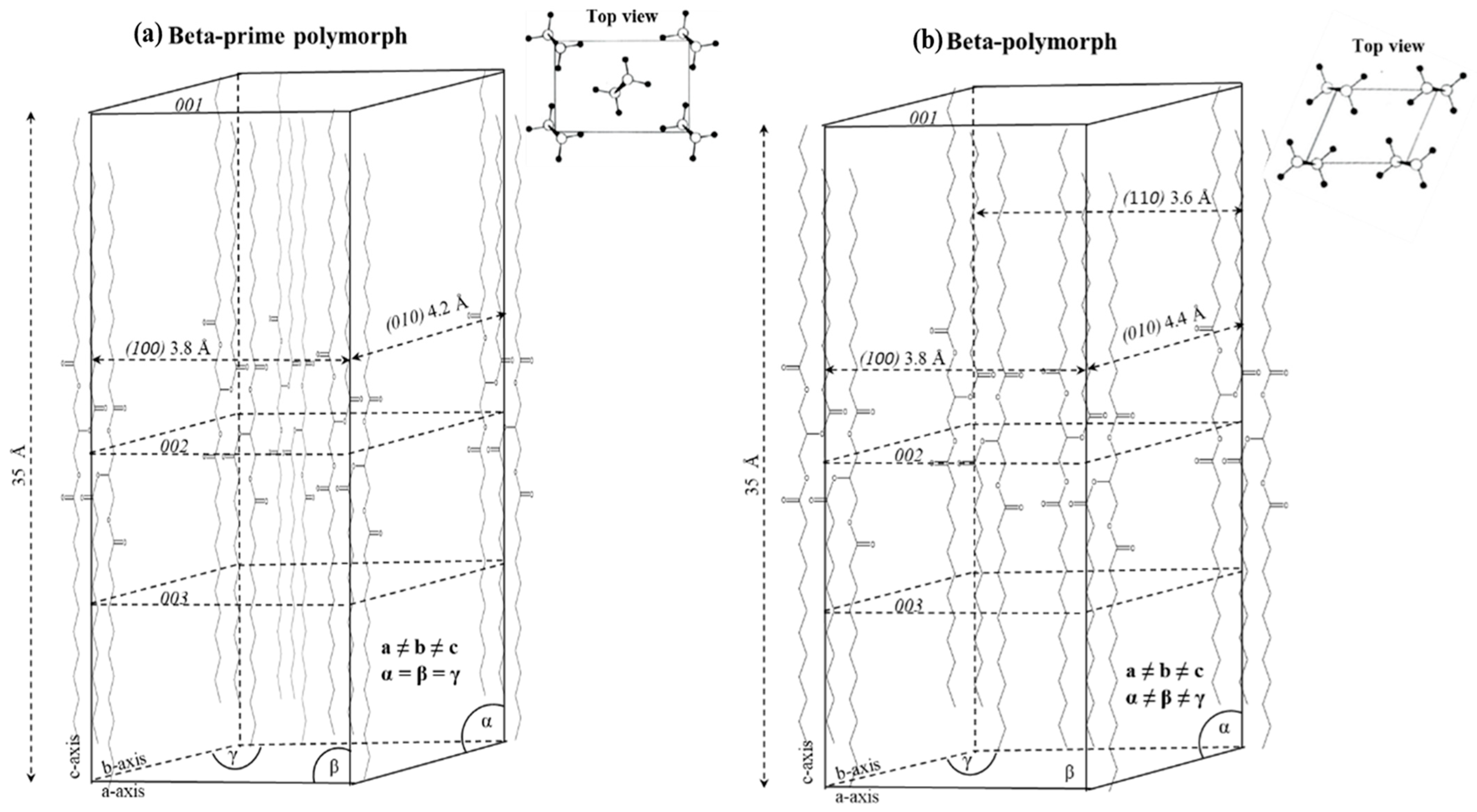Thermo 04 00009 g006