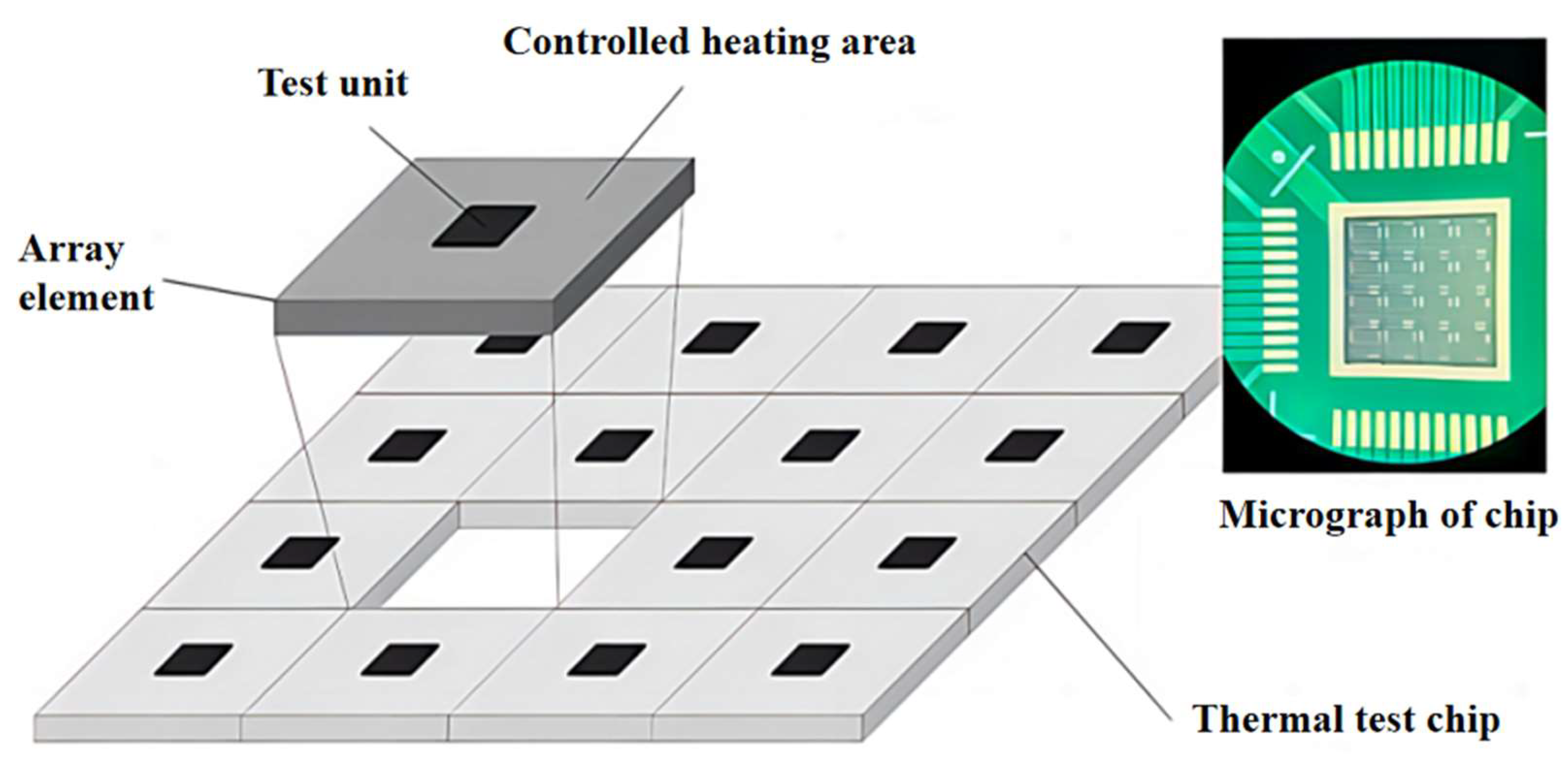 Thermo 05 00006 g005 Thermo 05 00006 g005