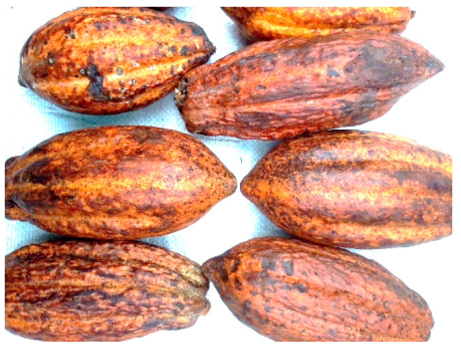 Thermo 05 00018 g005