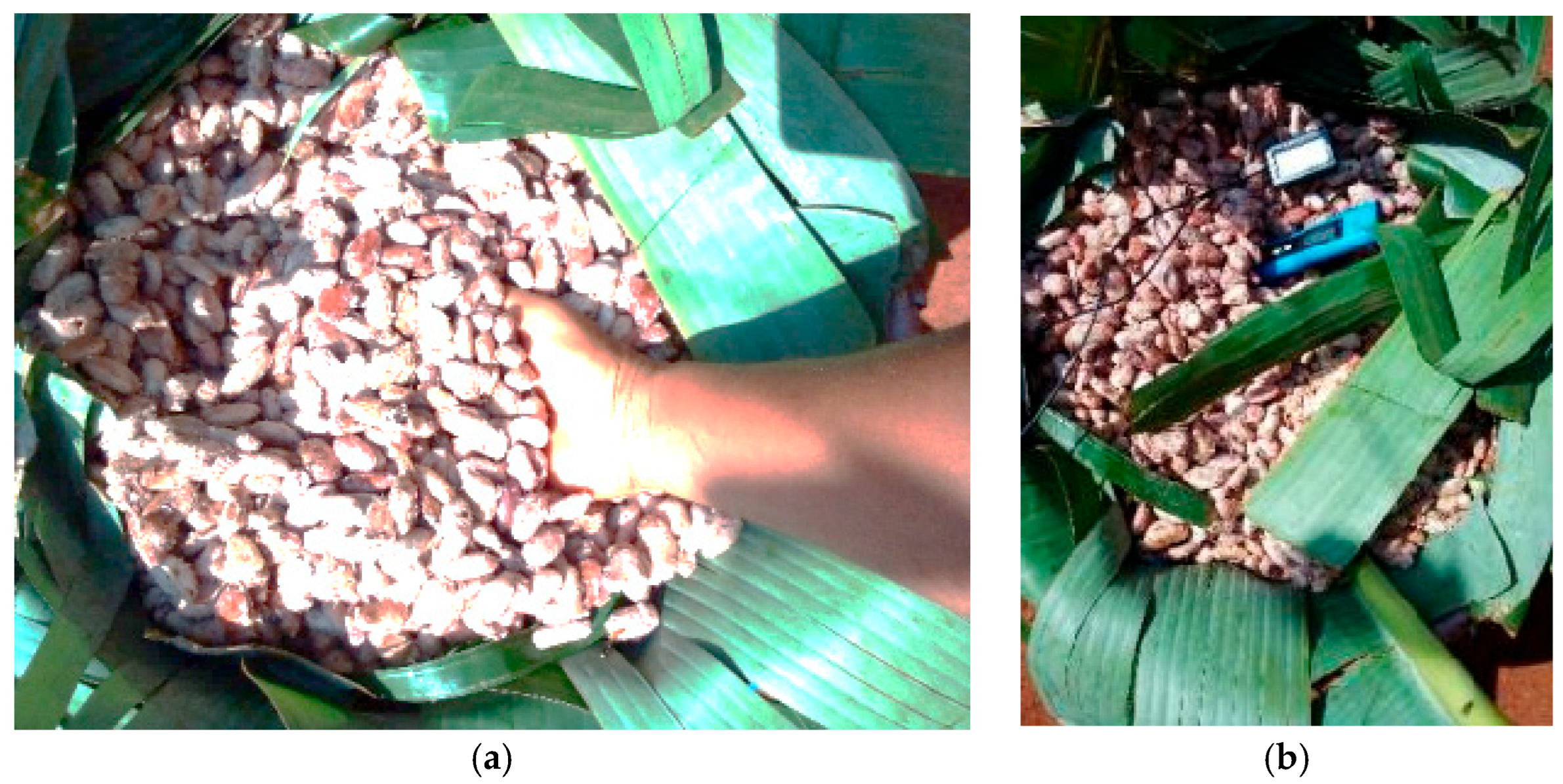 Thermo 05 00018 g008