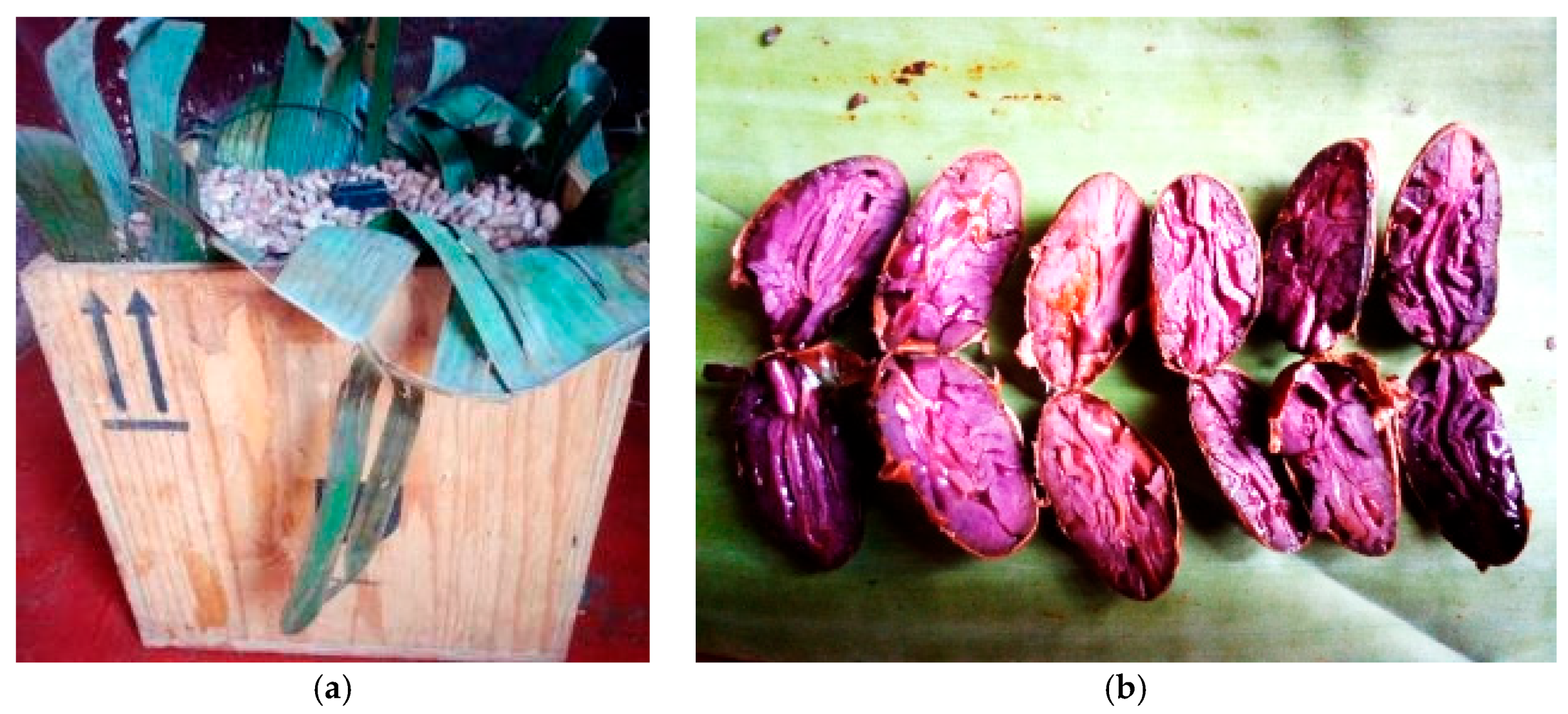 Thermo 05 00018 g009