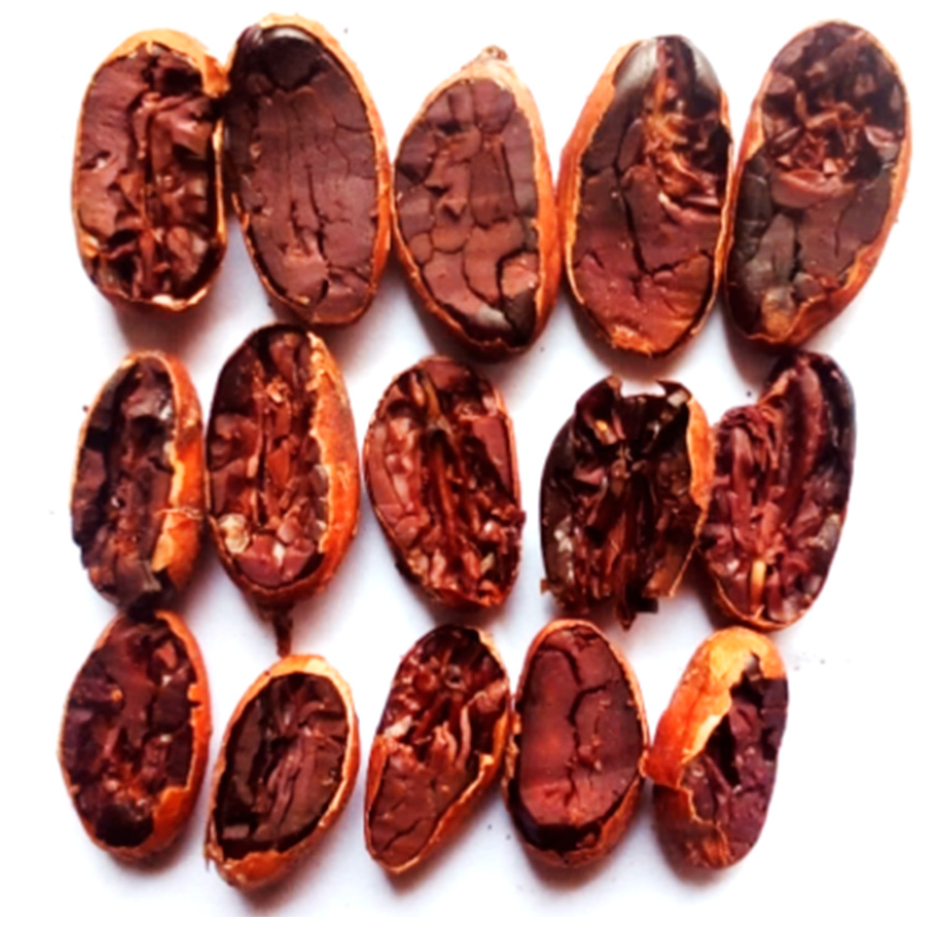 Thermo 05 00018 g010