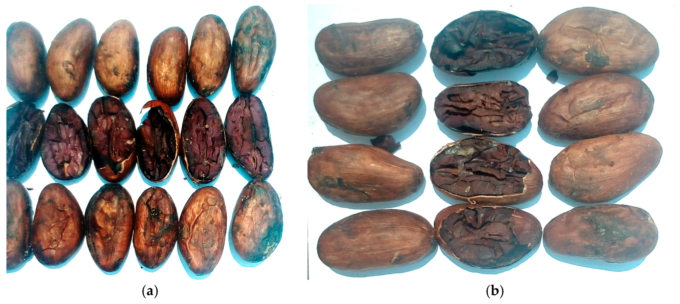 Thermo 05 00018 g022