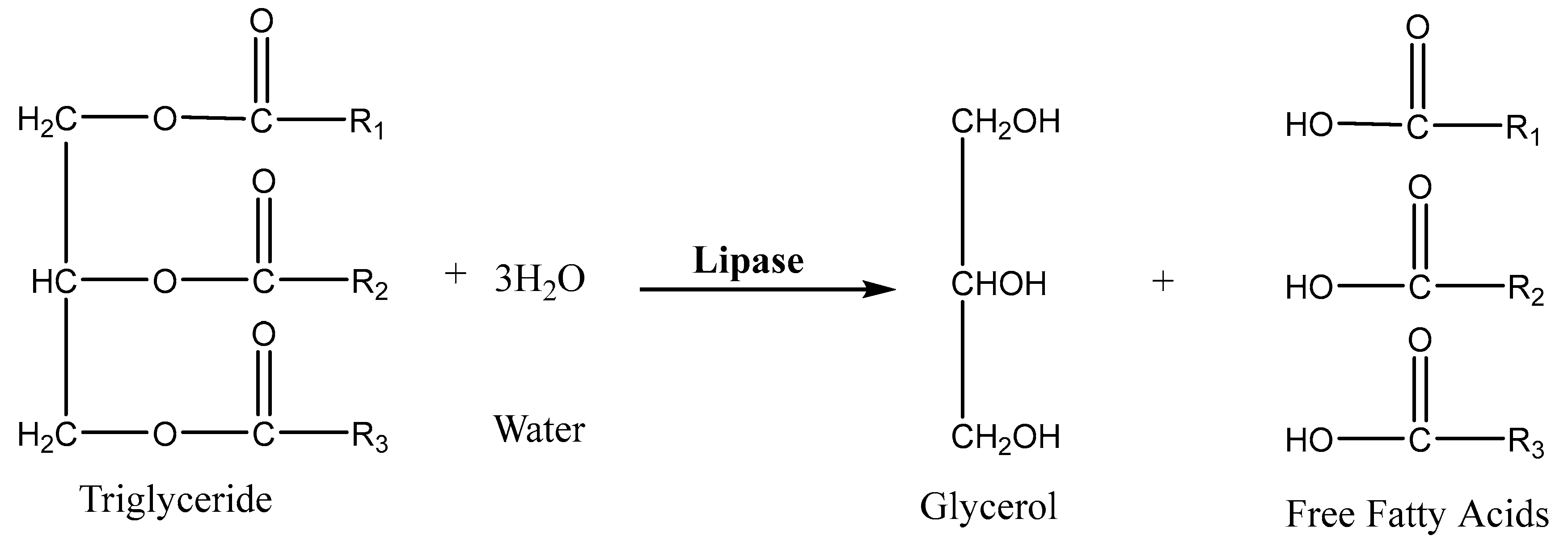 Thermo 05 00018 g023