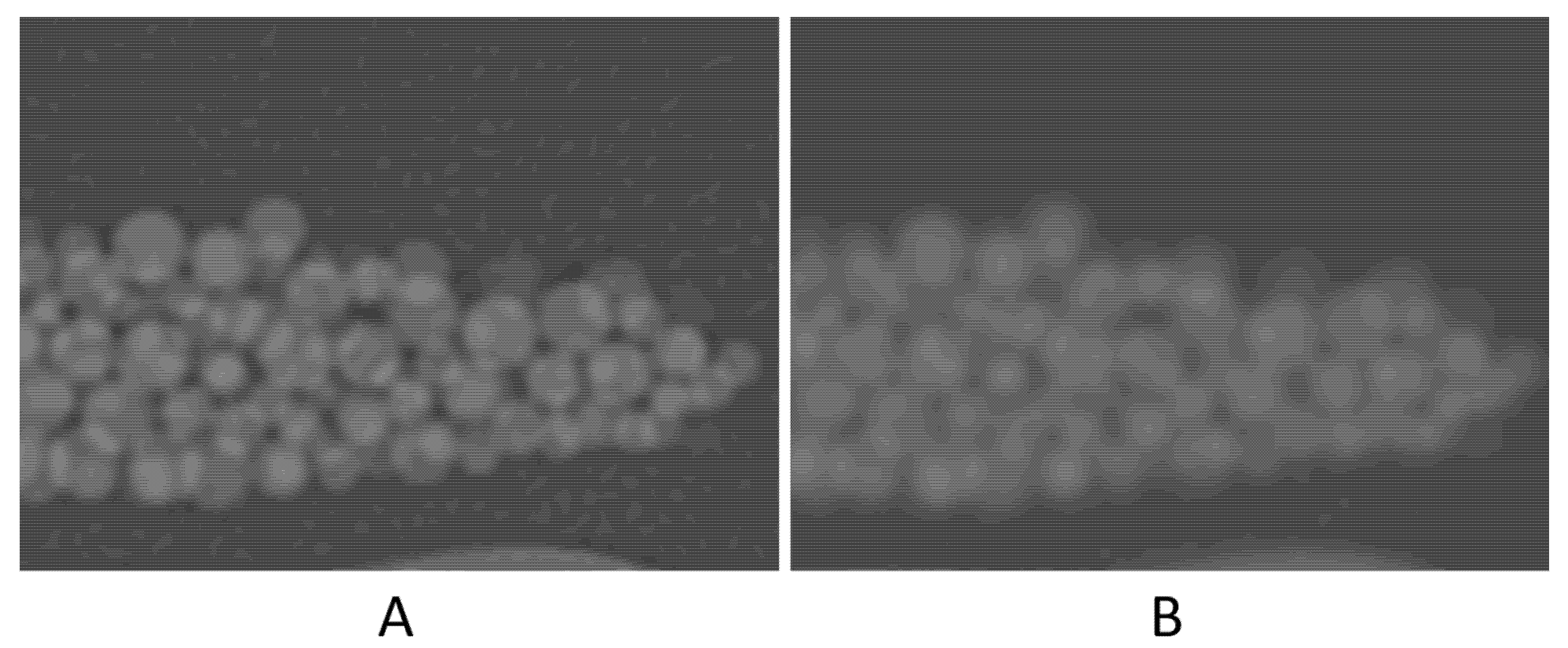 Tomography 07 00011 g005