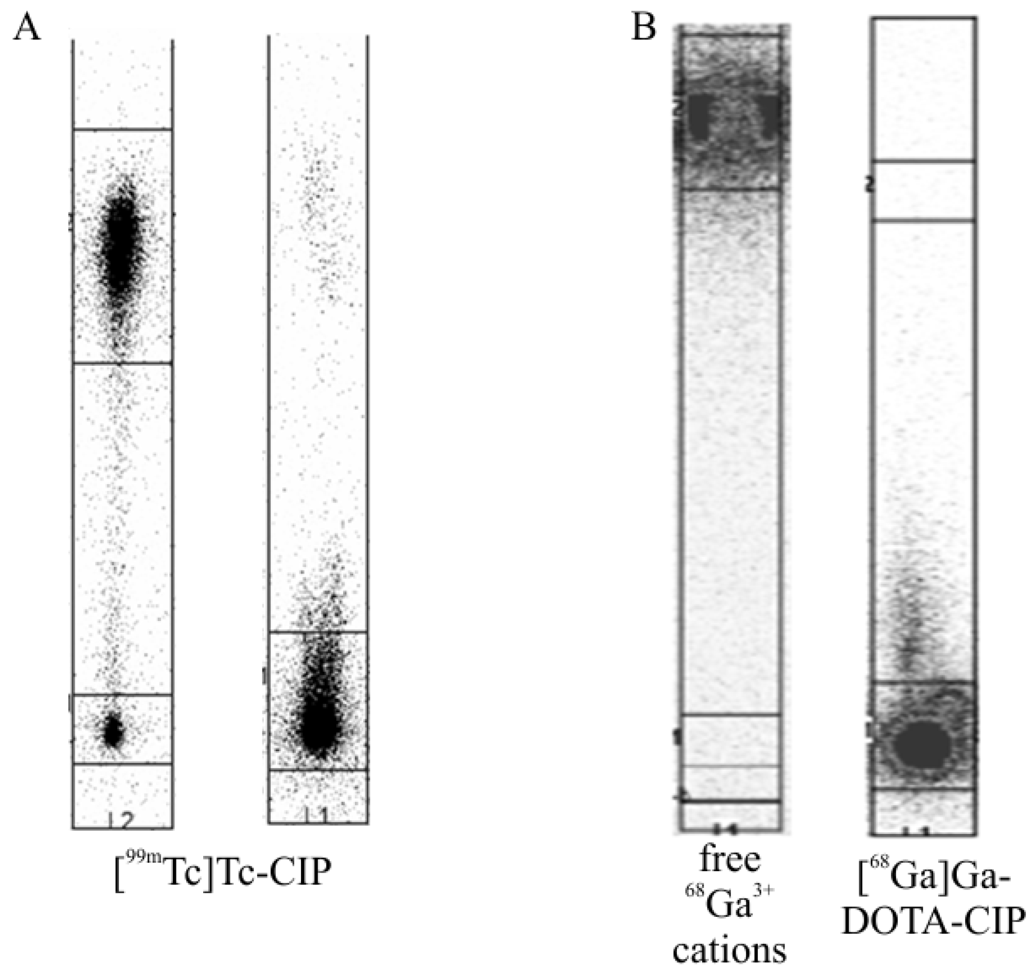 Tomography 07 00070 g003