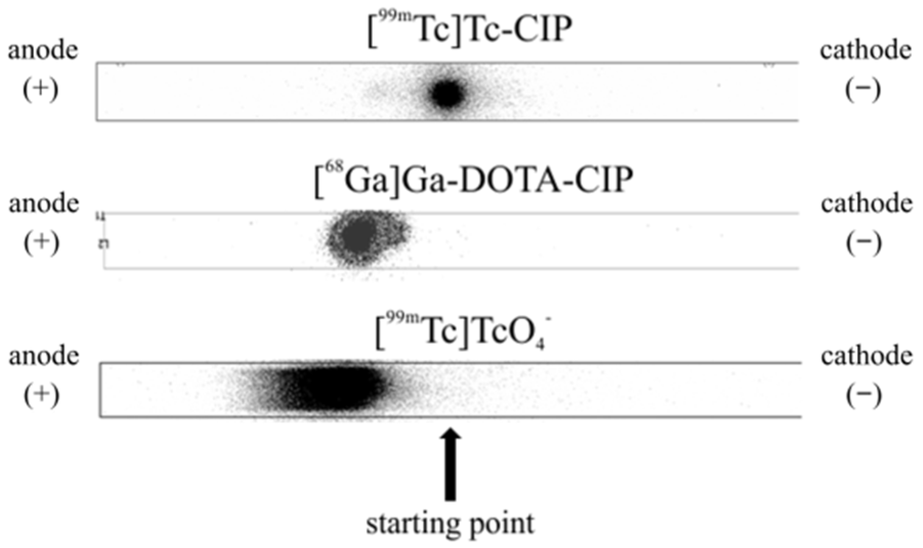 Tomography 07 00070 g006