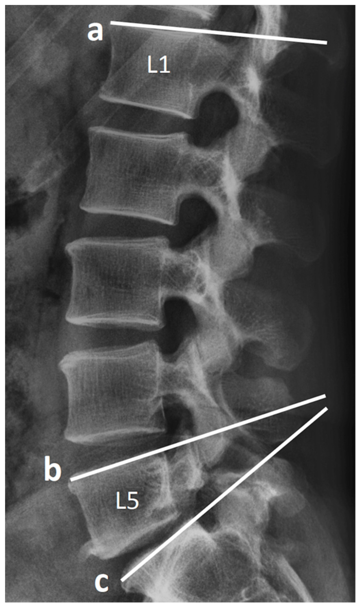 Tomography 07 00072 g003