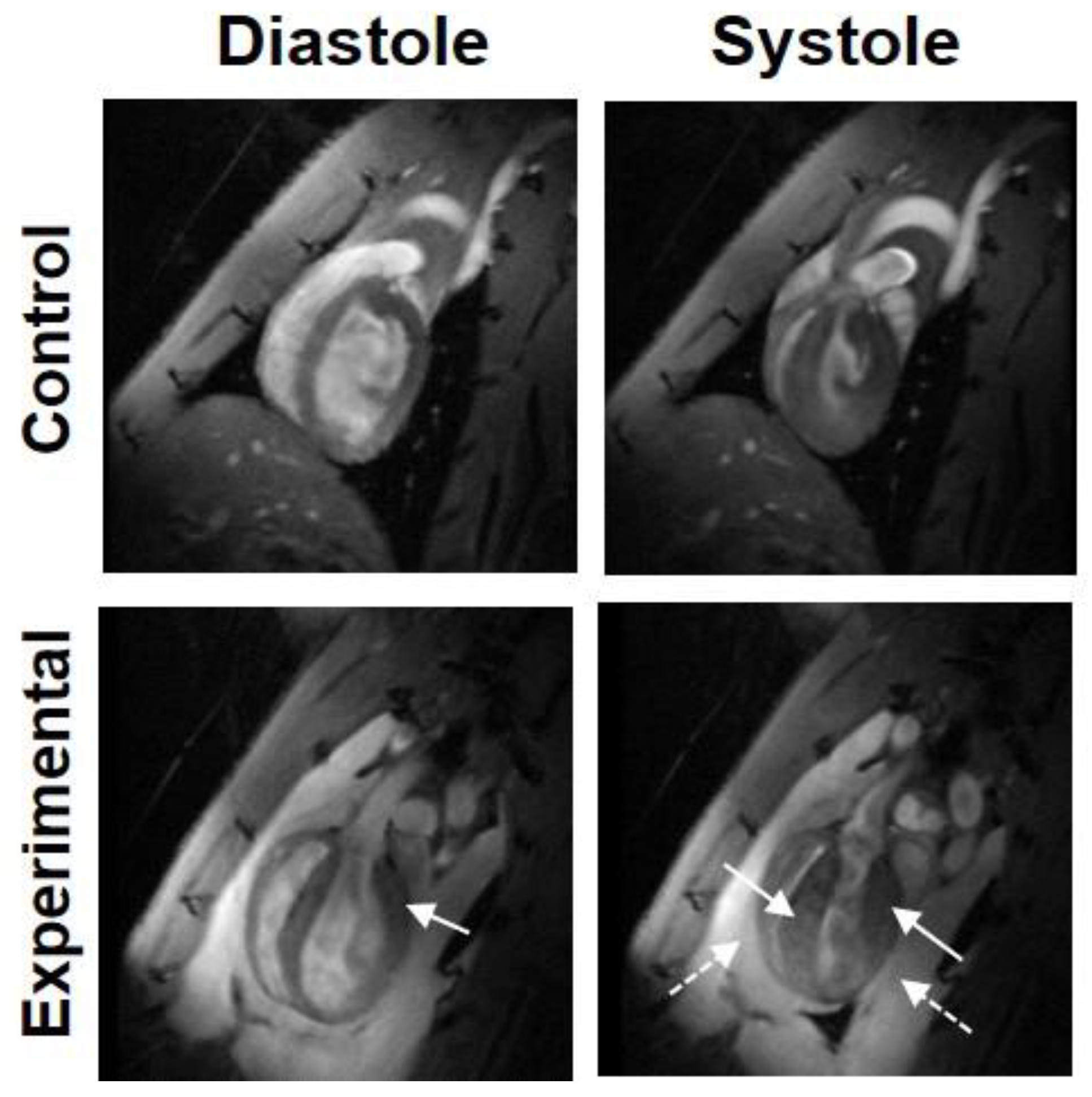 Tomography 07 00075 g008