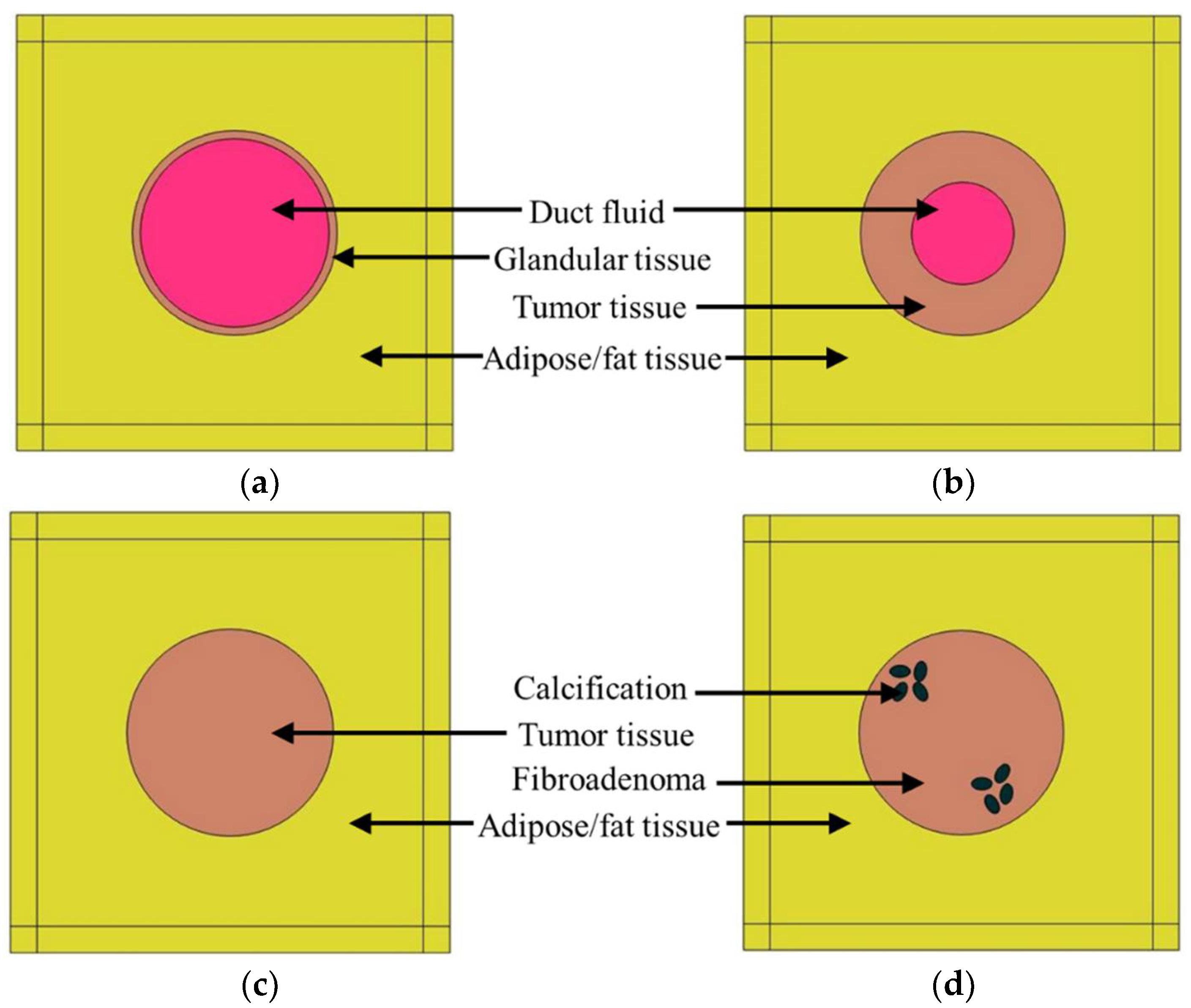 Tomography 08 00047 g001