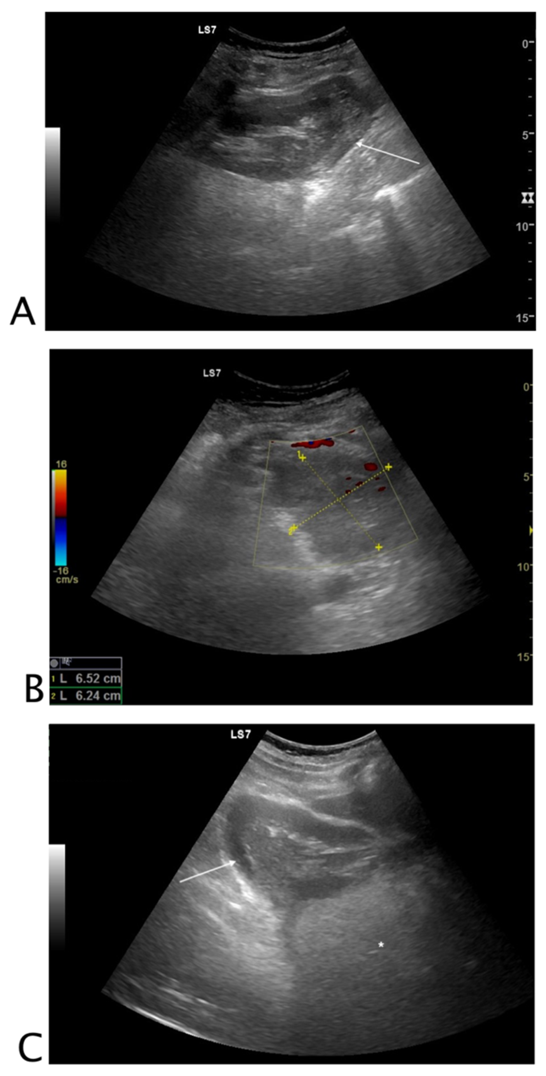 Tomography 08 00066 g001