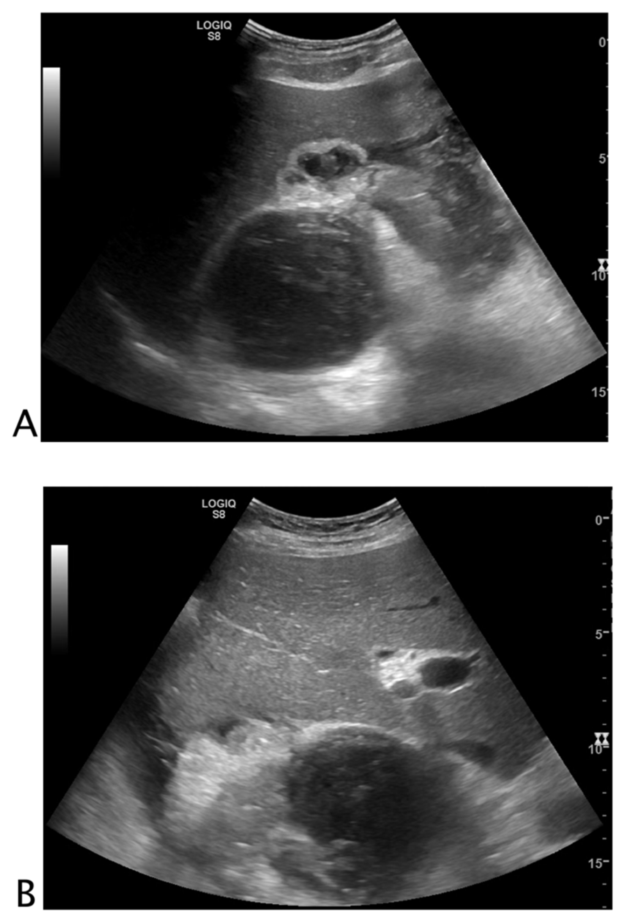Tomography 08 00066 g002