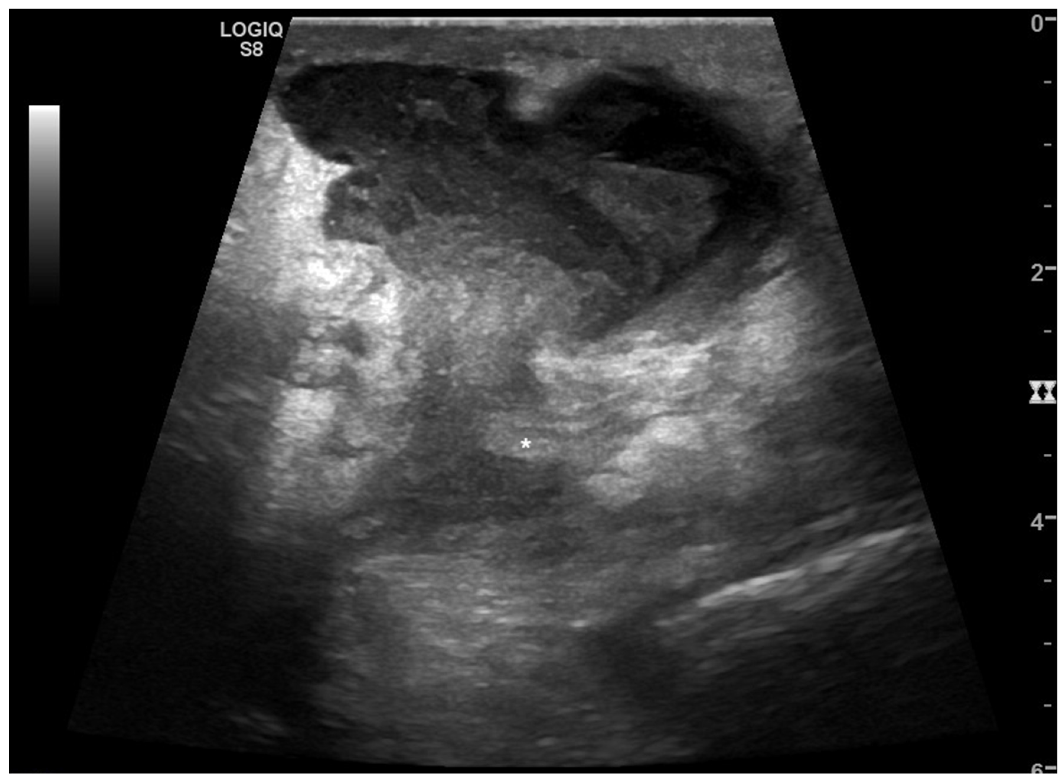 Tomography 08 00066 g007