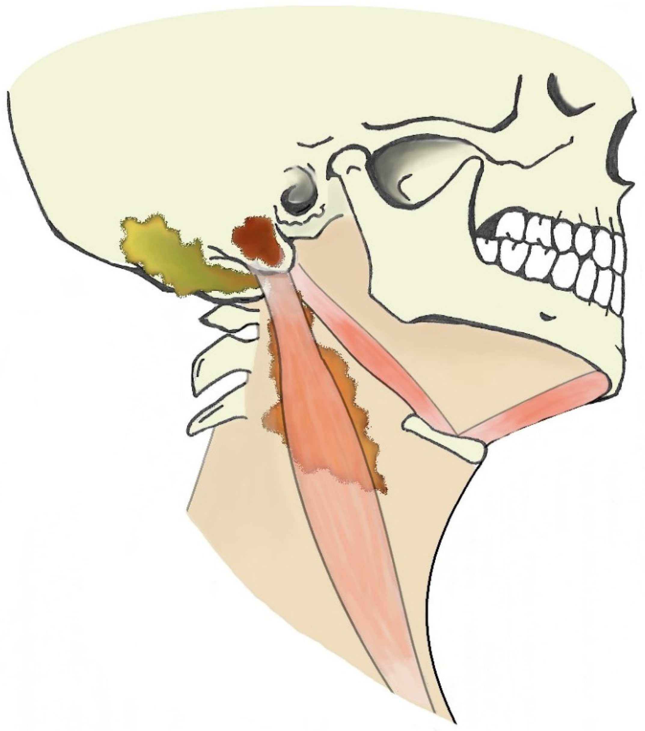 Tomography 08 00074 g003
