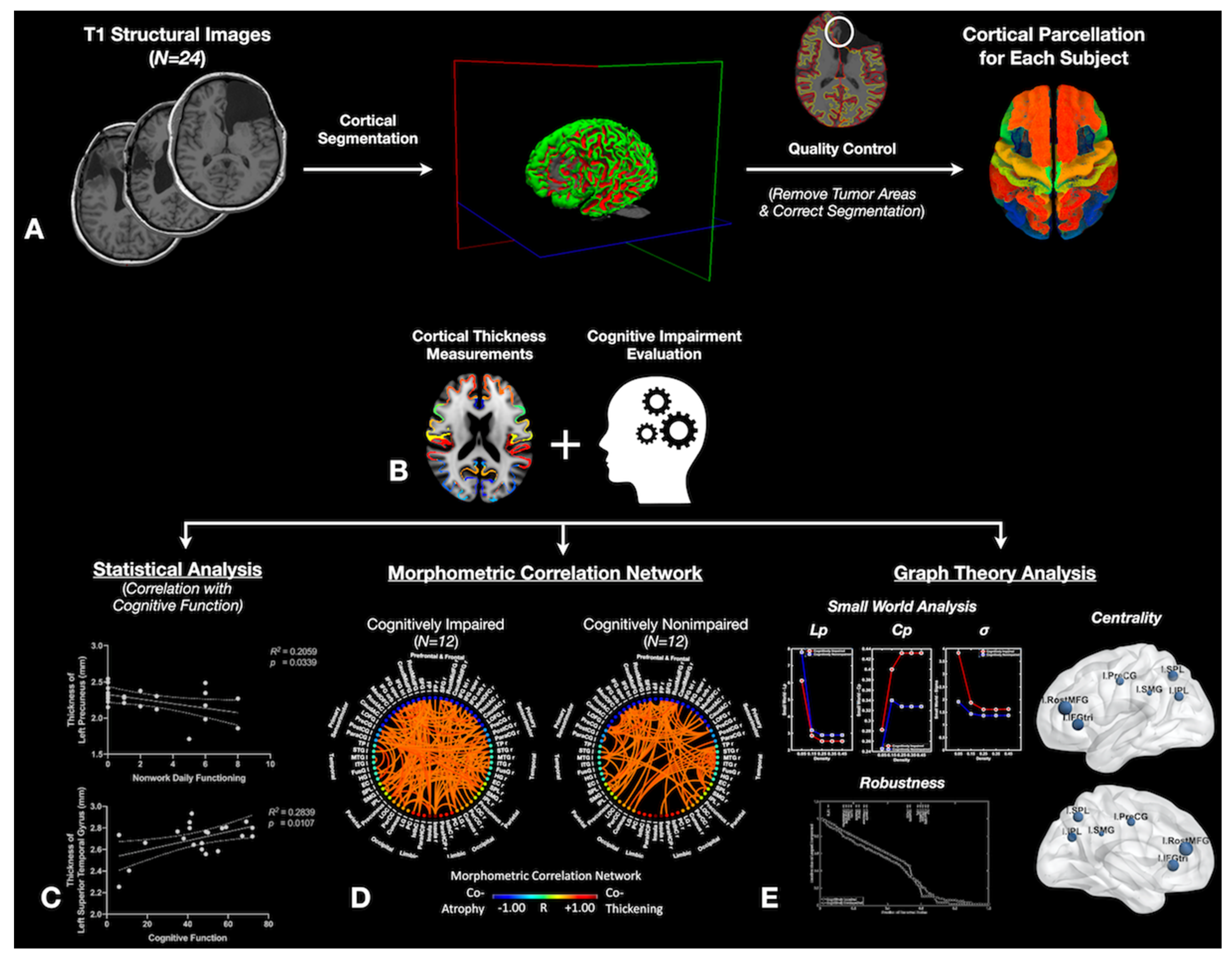 Tomography 08 00116 g001