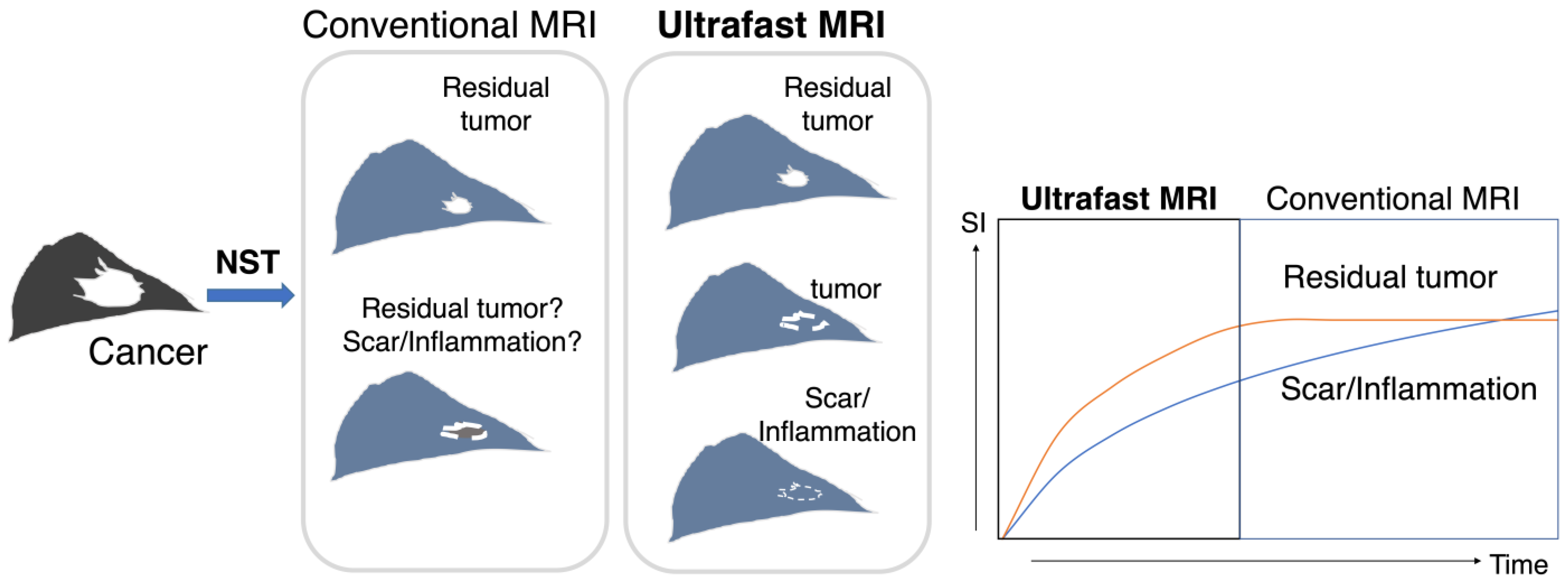 Tomography 08 00125 g001