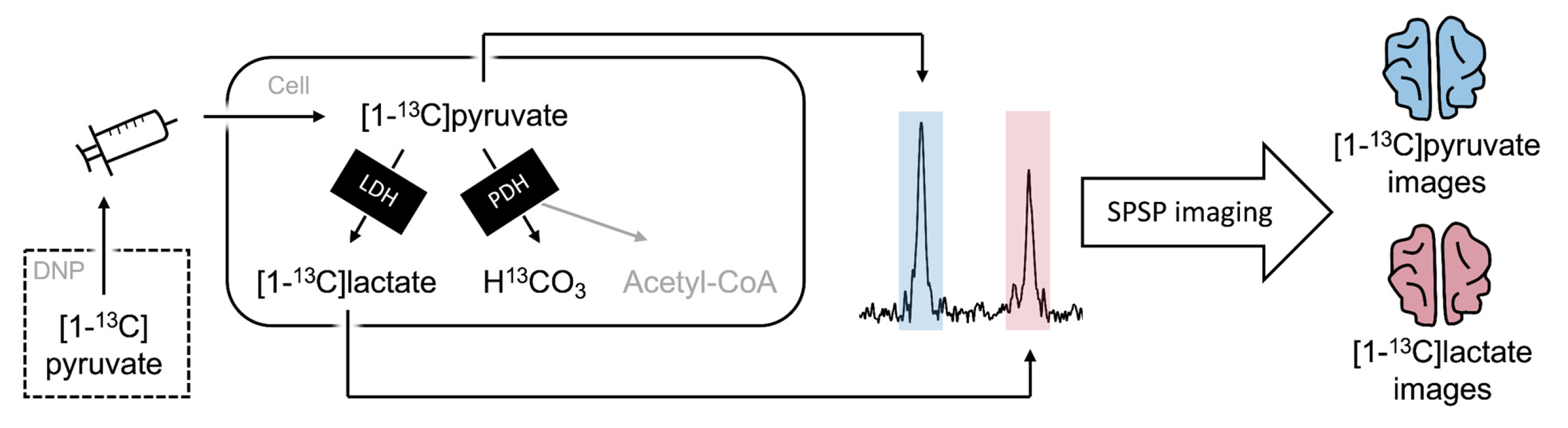 Tomography 08 00129 g001
