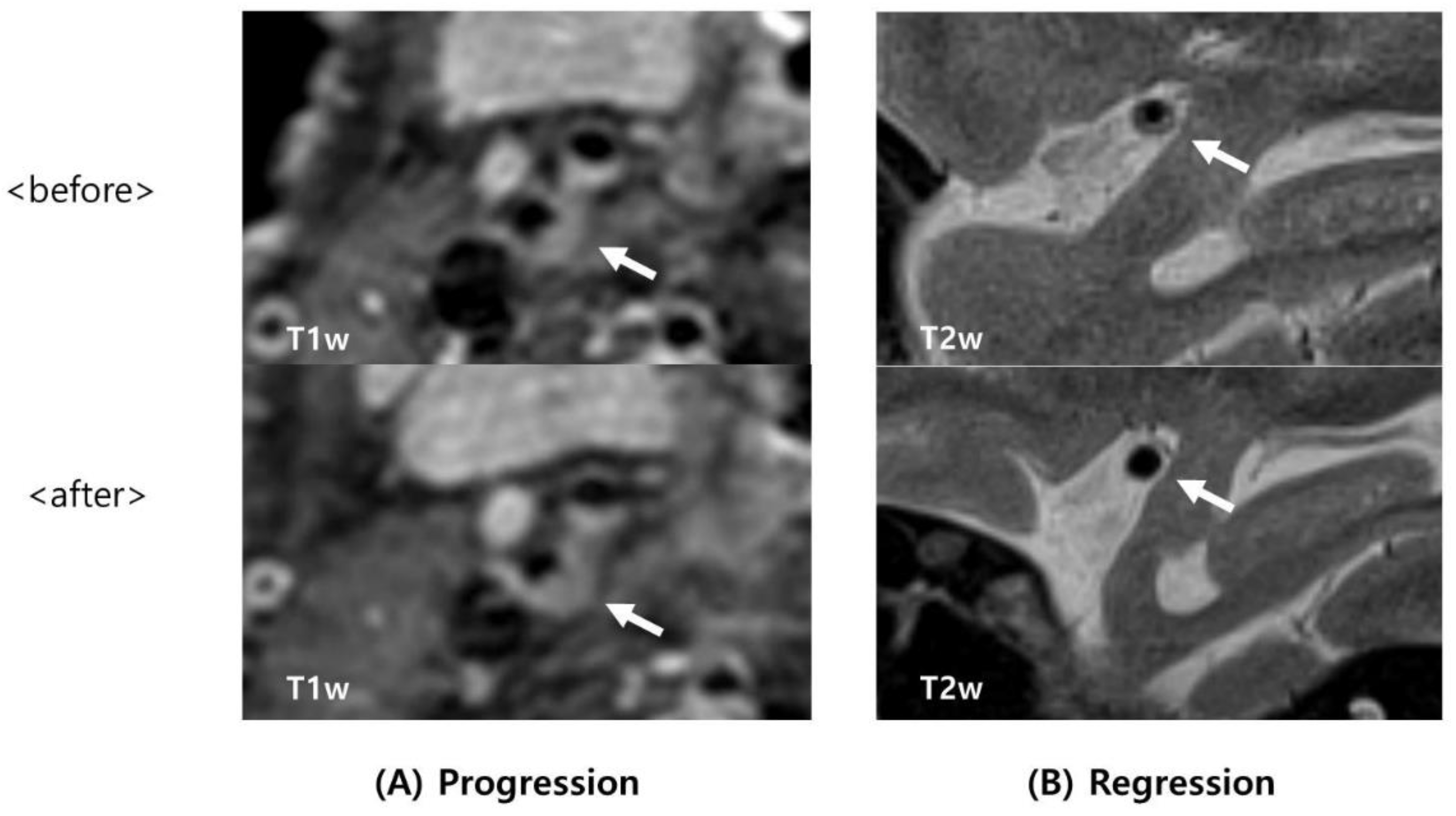 Tomography 08 00141 g001