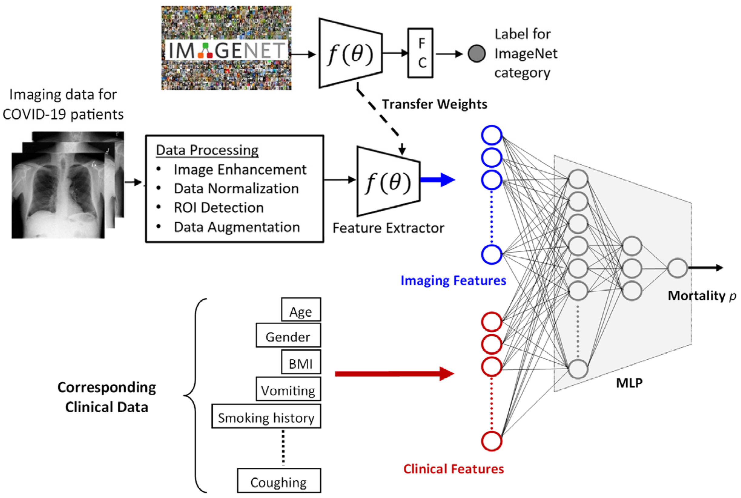 Tomography 08 00151 g001