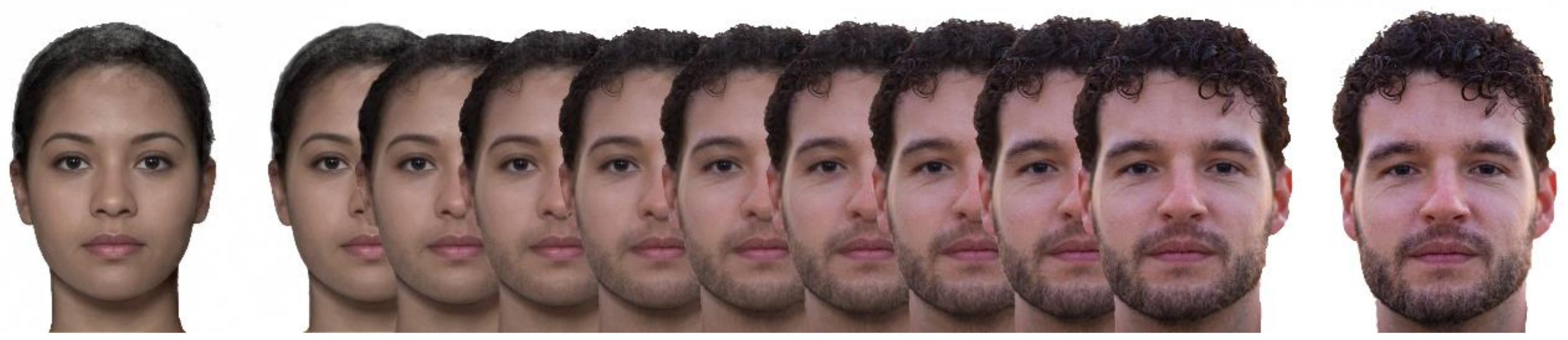 Tomography 08 00176 g002 Tomography 08 00176 g002