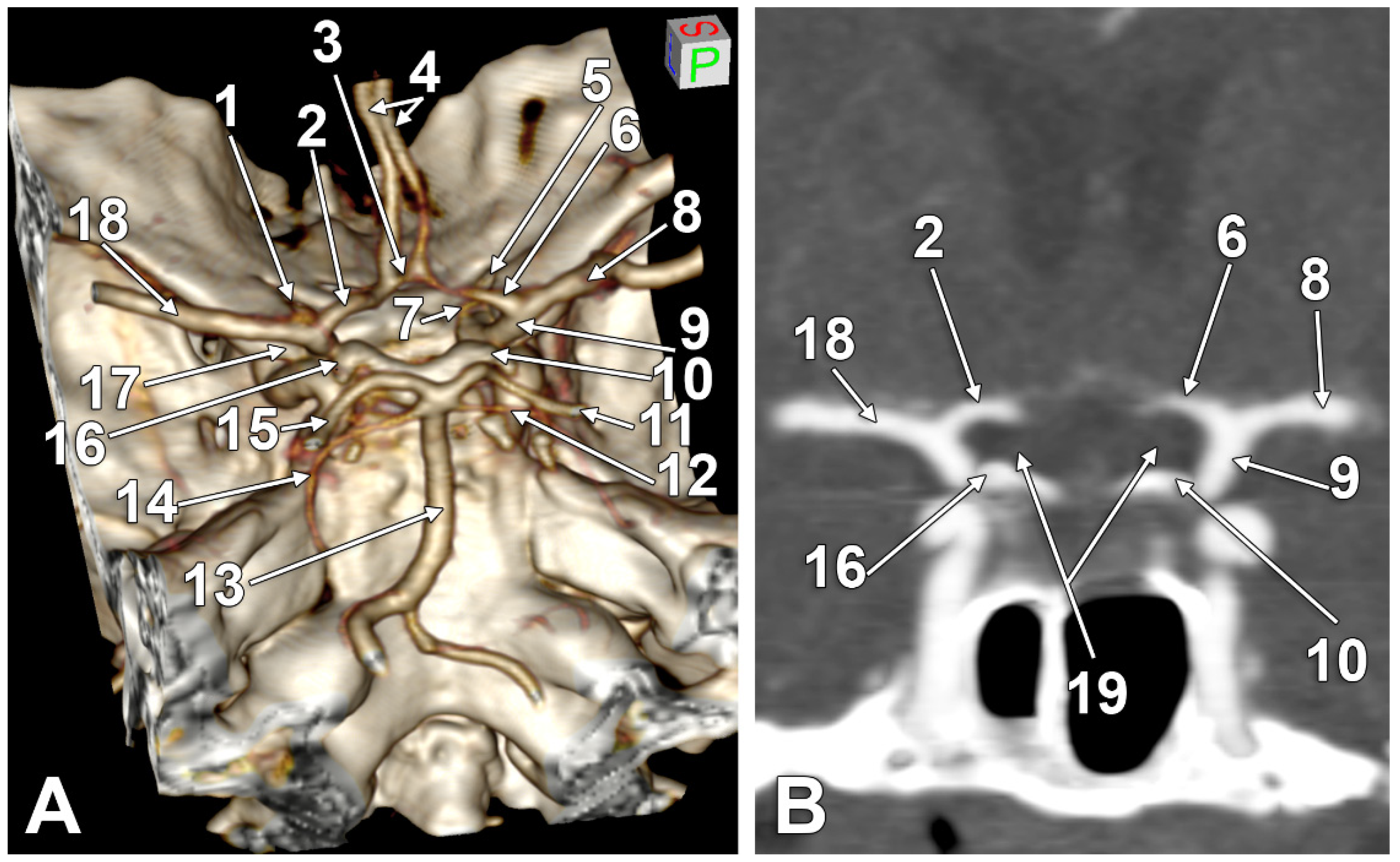 Tomography 08 00188 g001