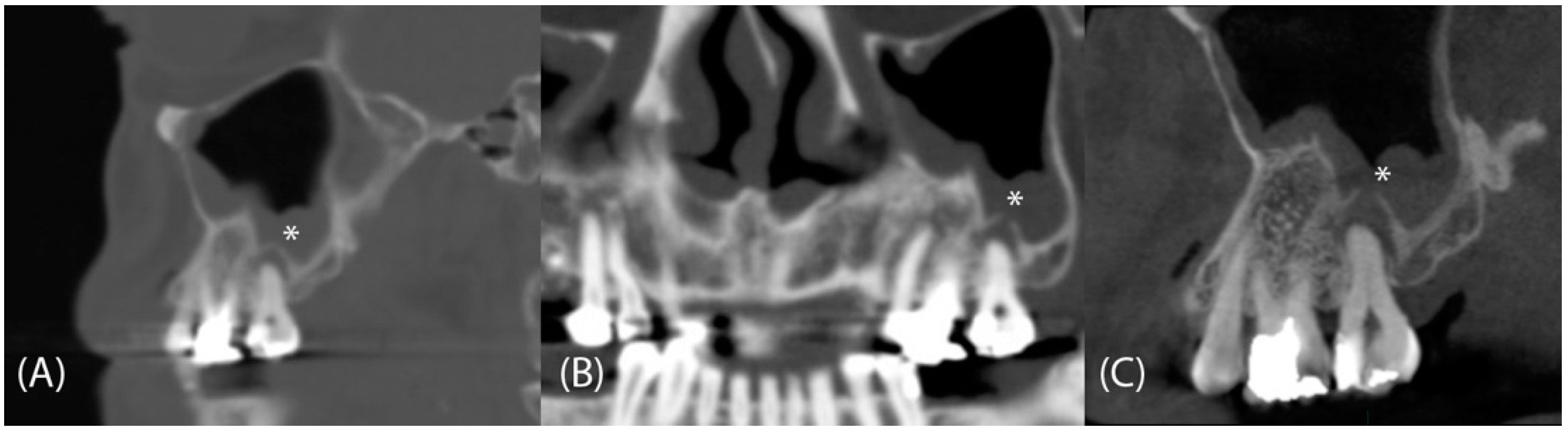 Tomography 08 00194 g002