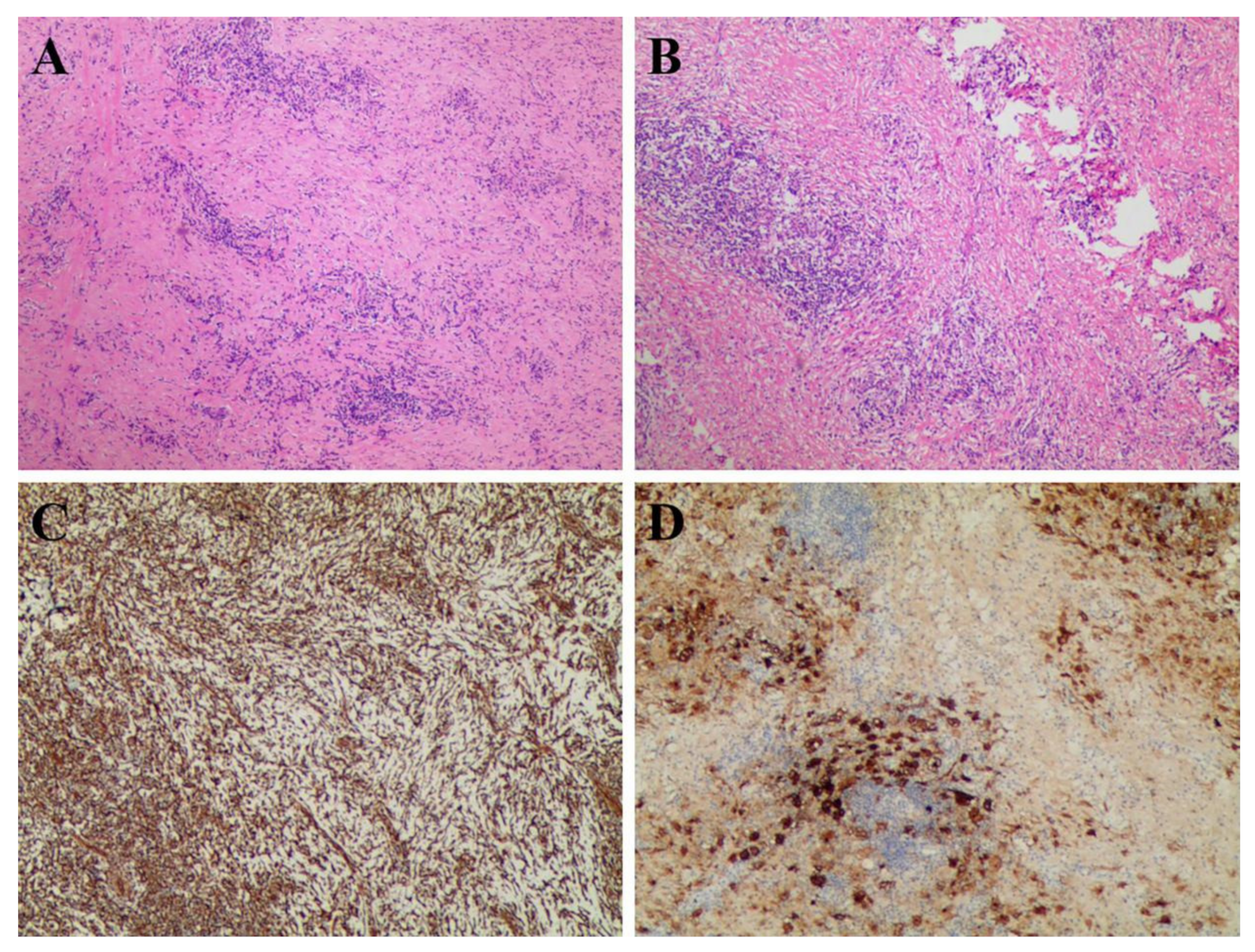 Tomography 08 00237 g003