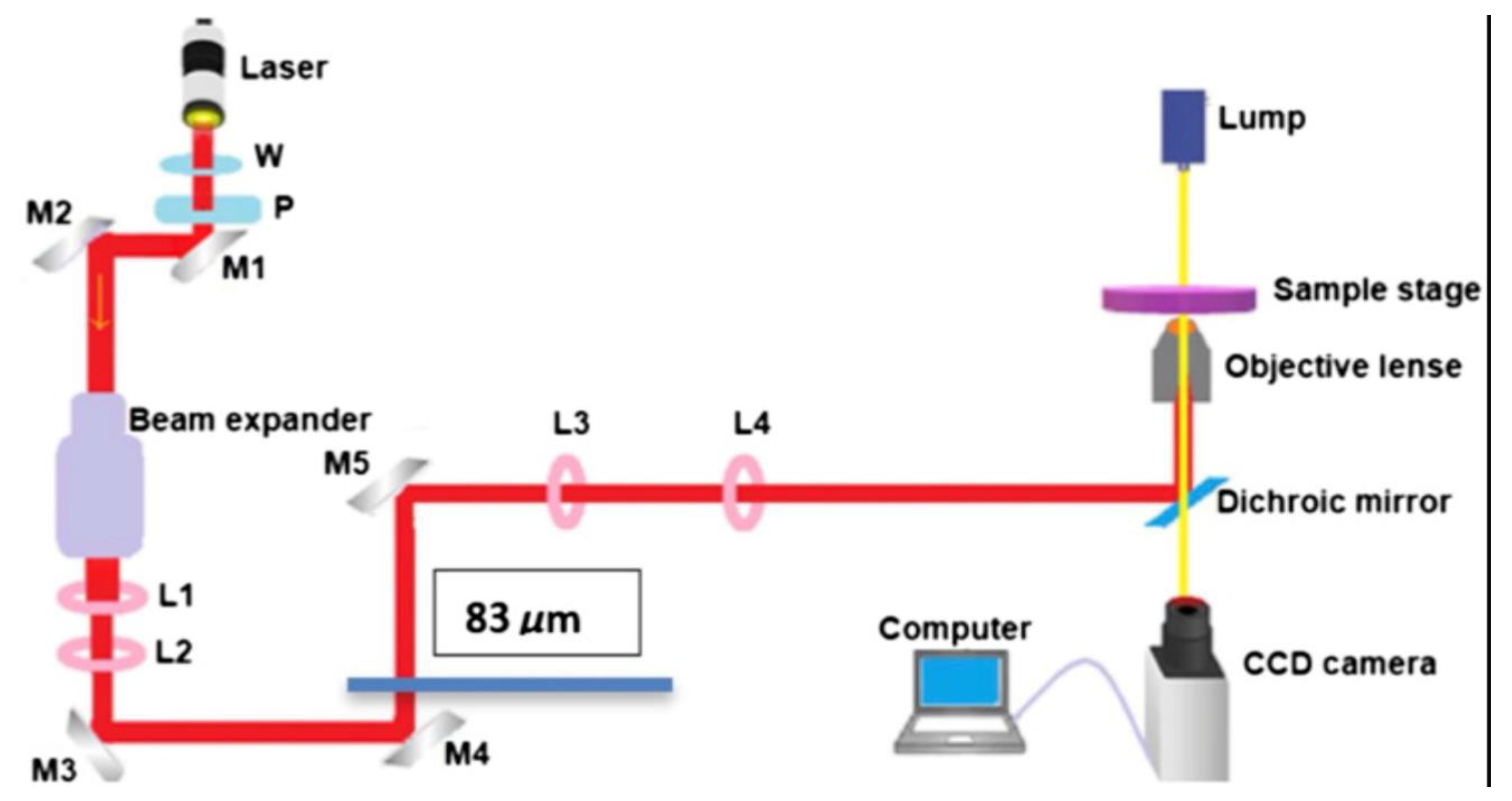 Tomography 09 00007 g001