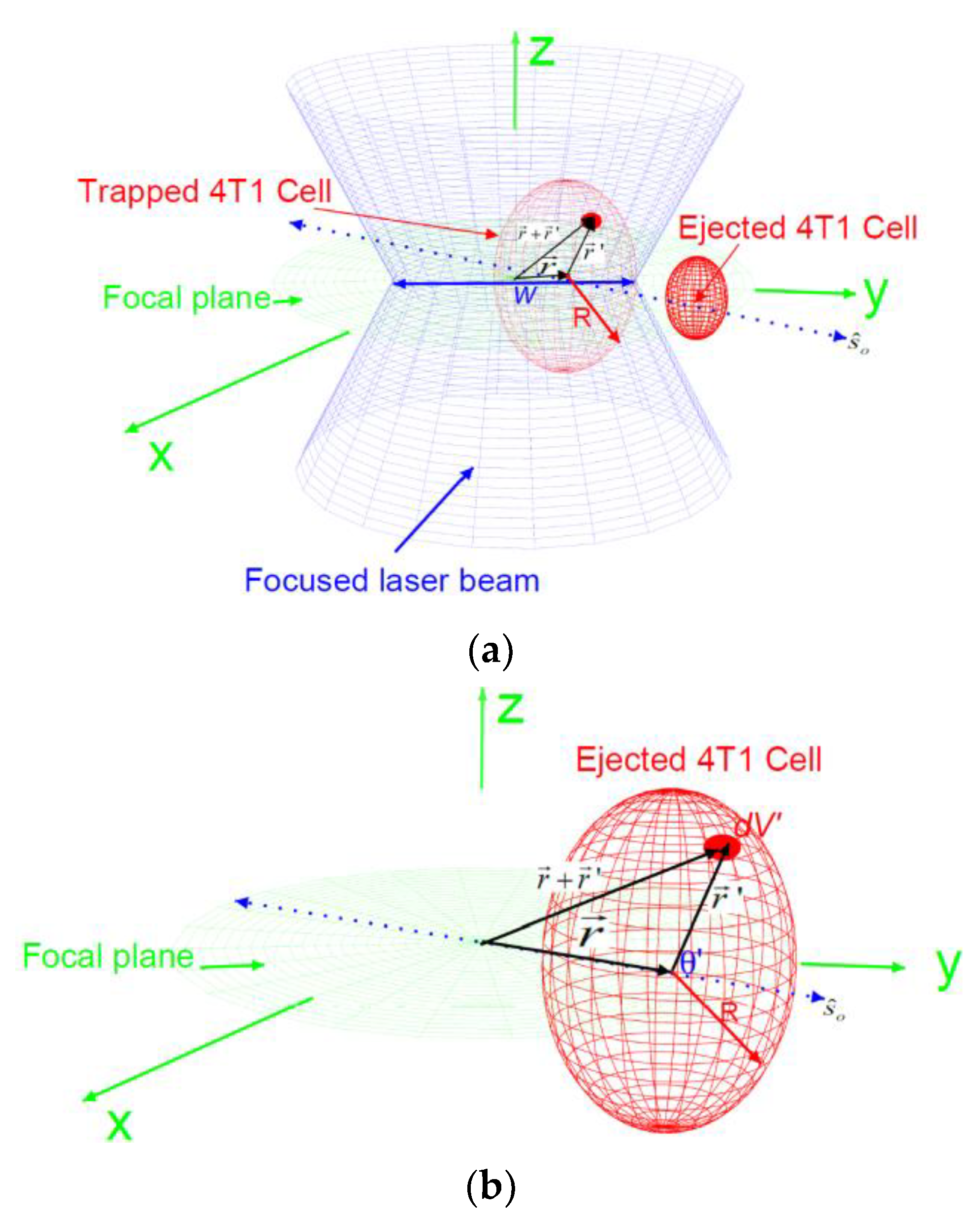 Tomography 09 00007 g002