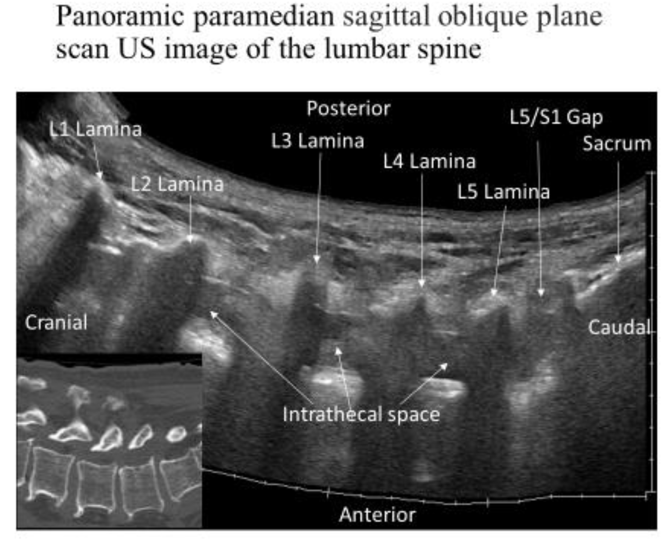 Tomography 09 00023 g002