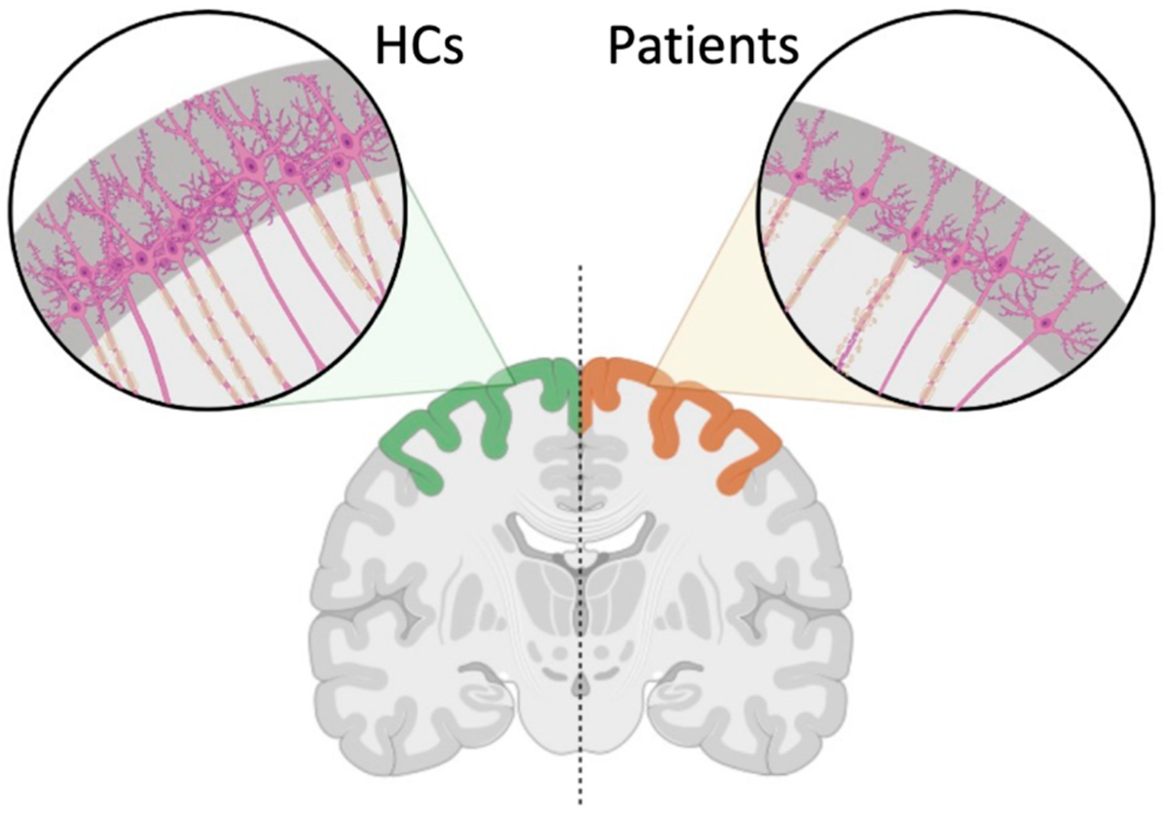 Tomography 09 00025 g004 Tomography 09 00025 g004