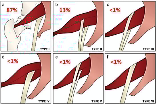 Tomography 09 00039 g001