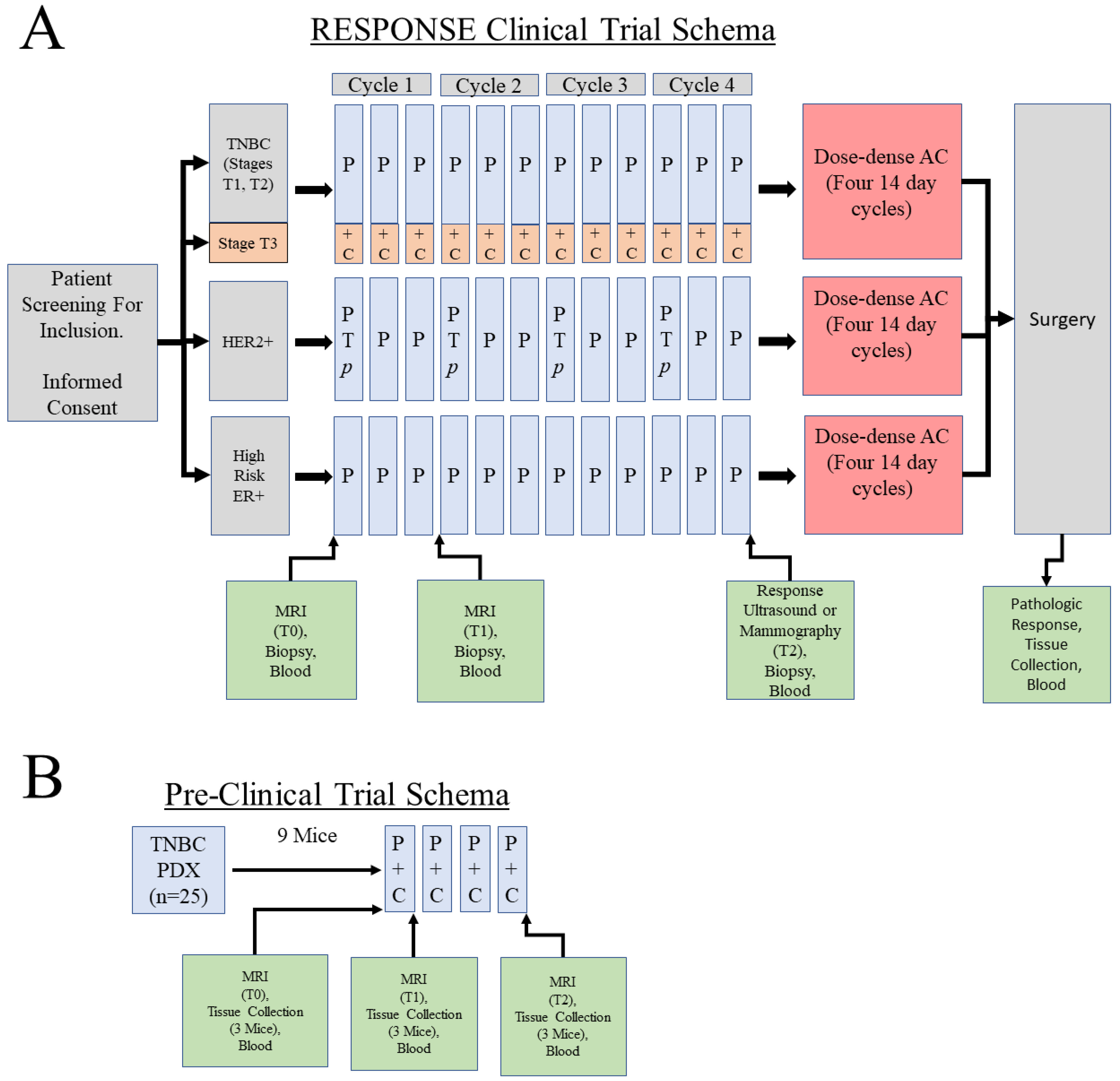 Tomography 09 00066 g002