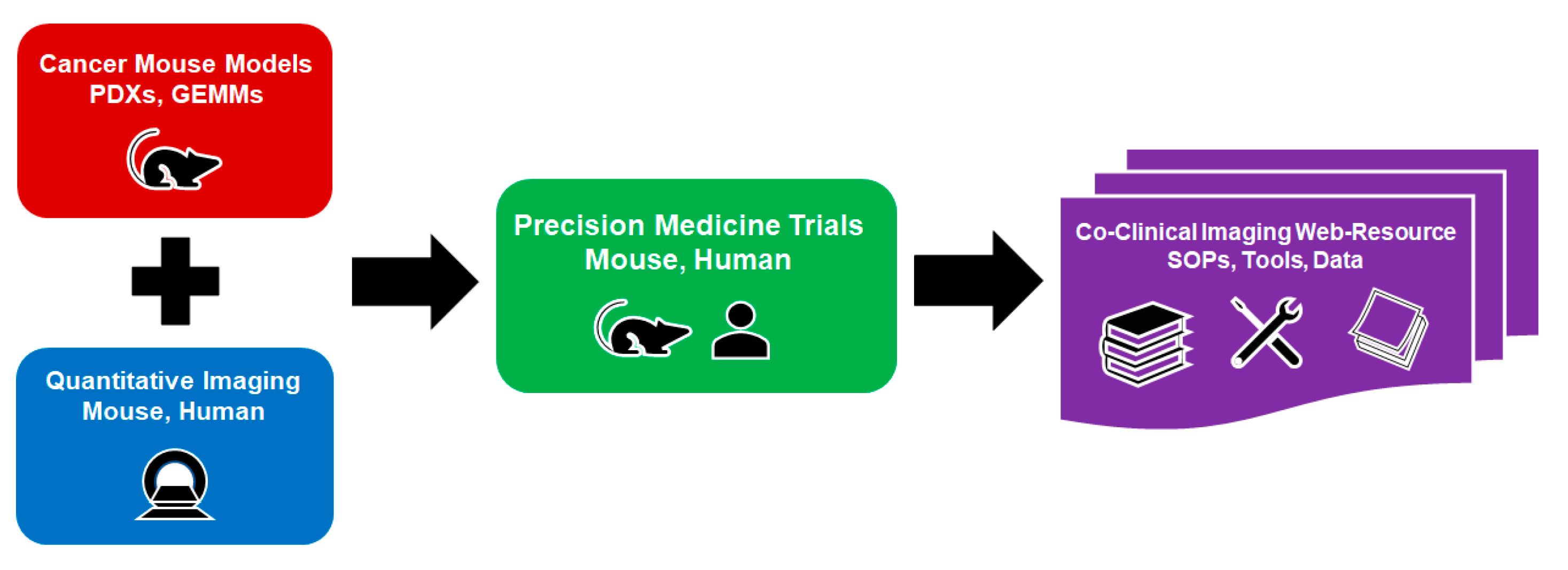 Tomography 09 00076 g001
