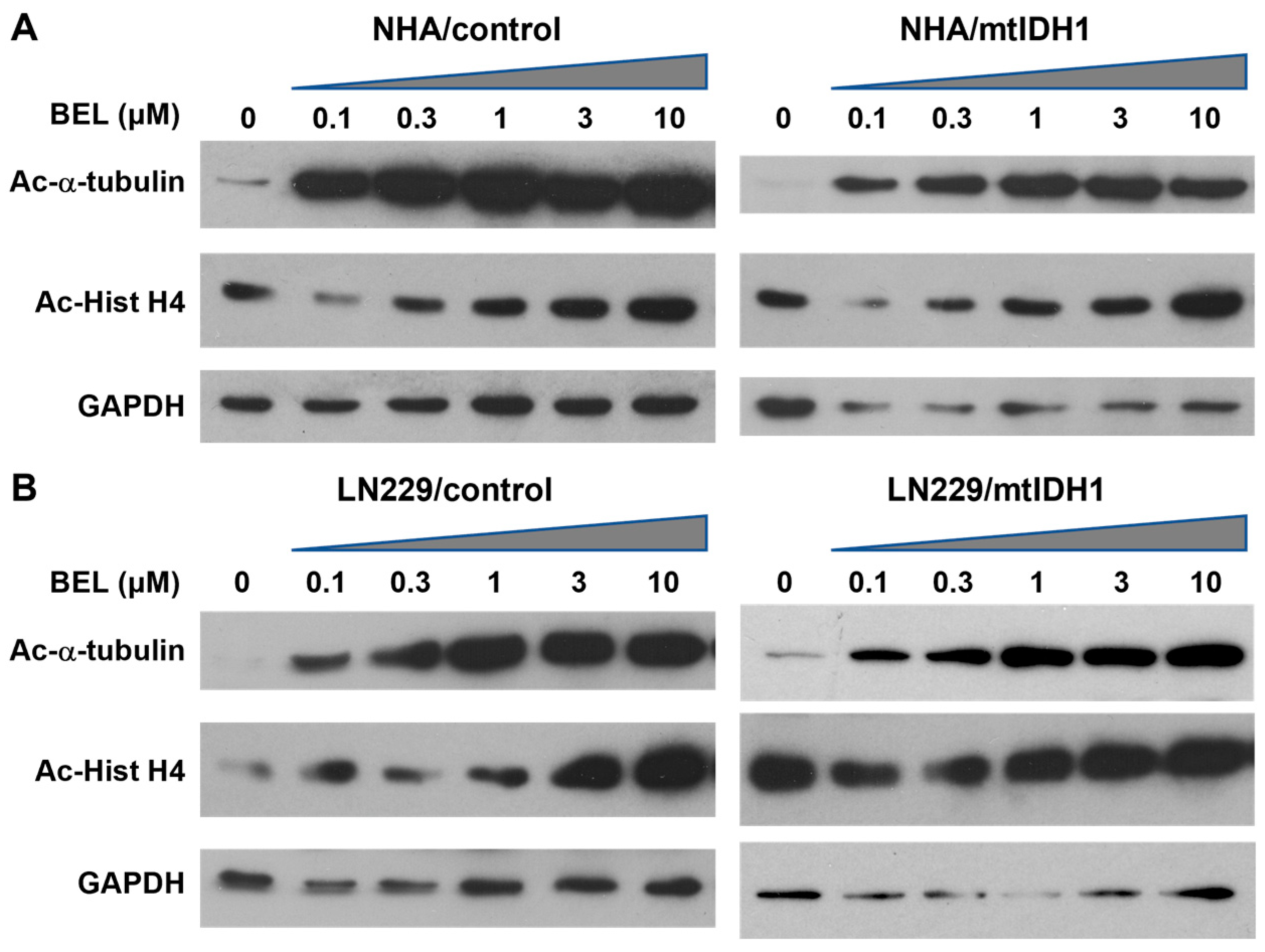 Tomography 09 00077 g002