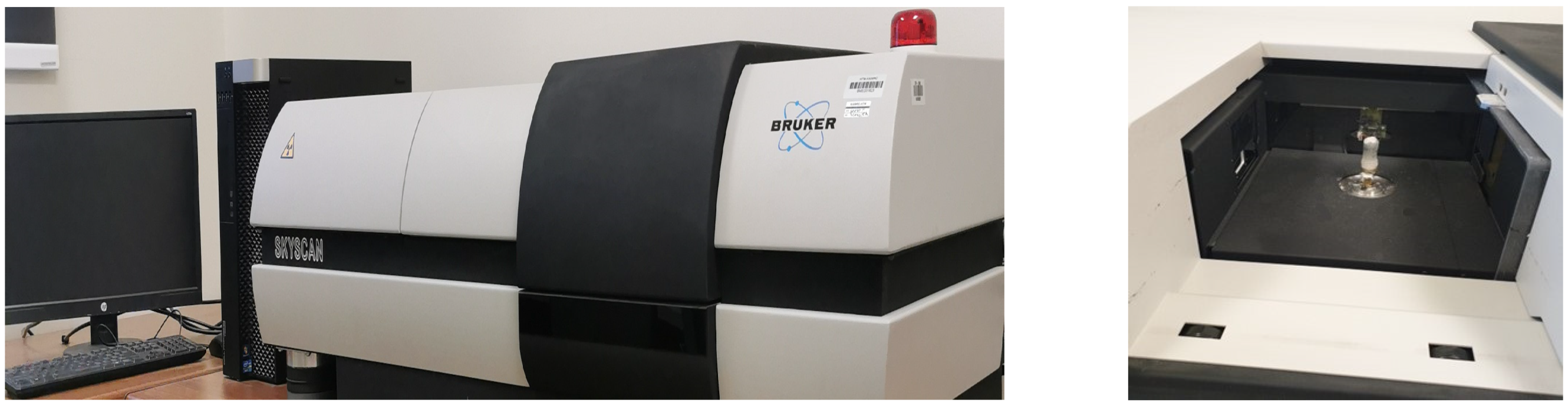 Tomography 09 00109 g002 Tomography 09 00109 g002