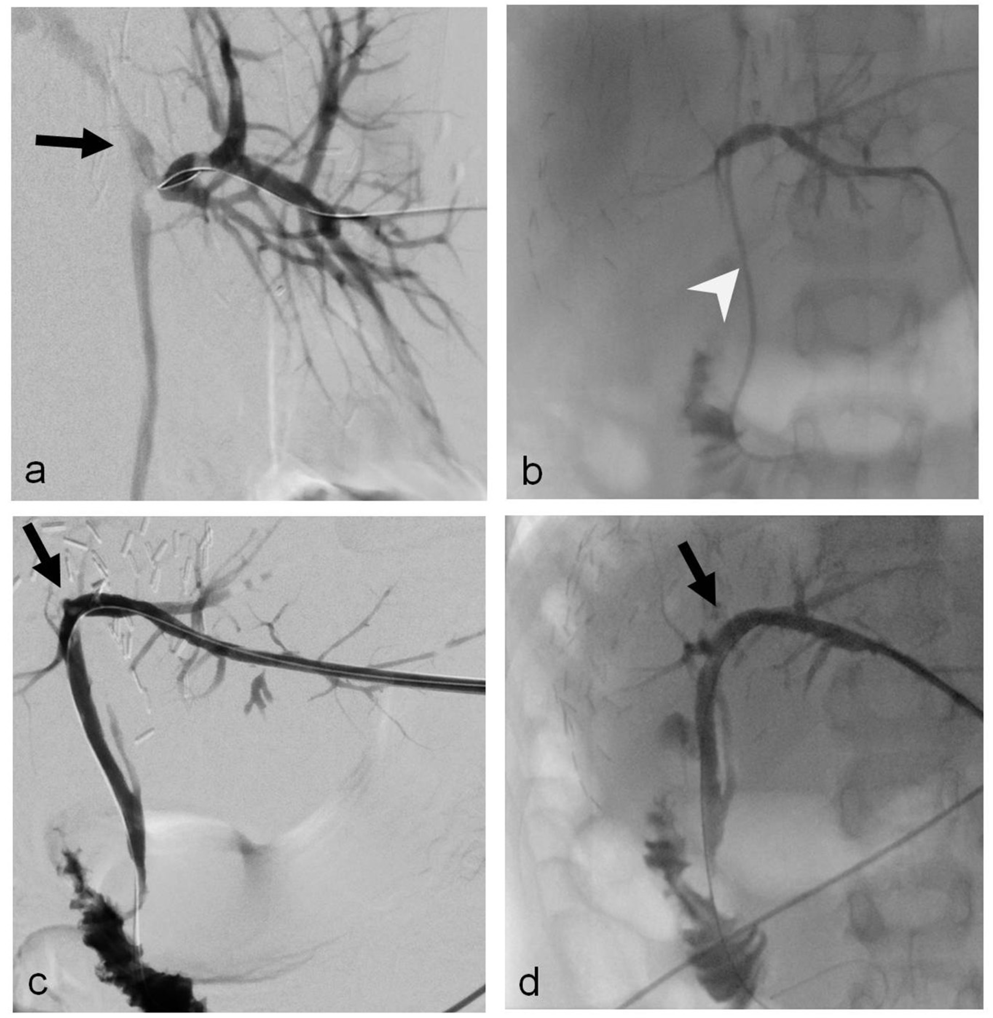 Tomography 09 00153 g002