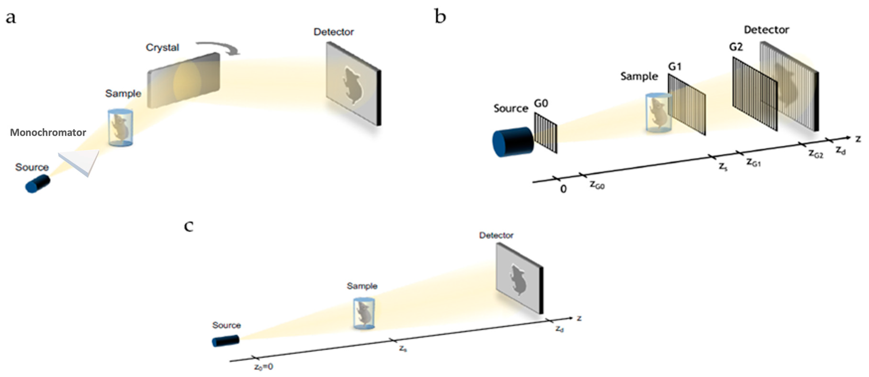 Tomography 09 00166 g001