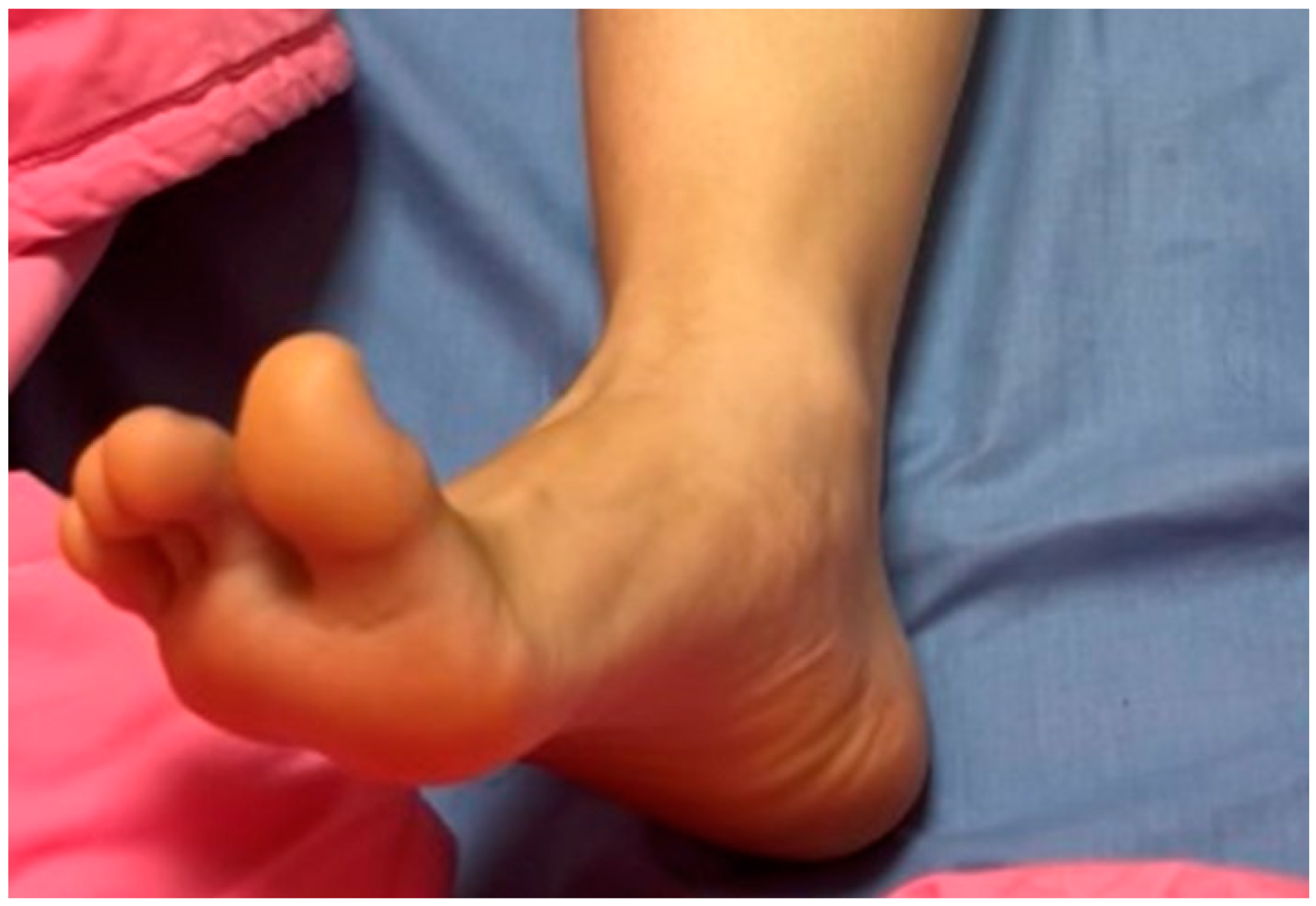 Tomography 09 00175 g001