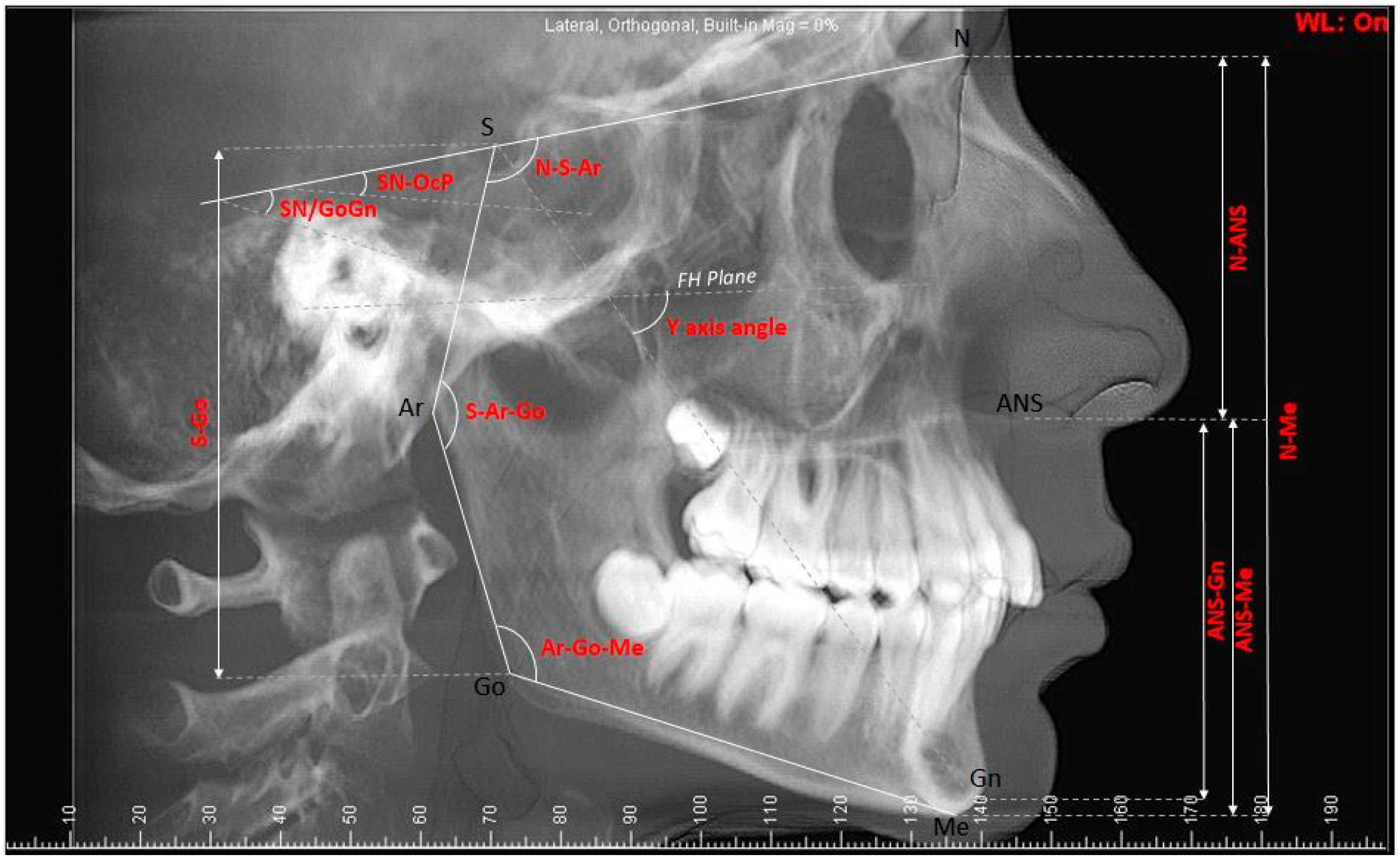 Tomography 10 00004 g001